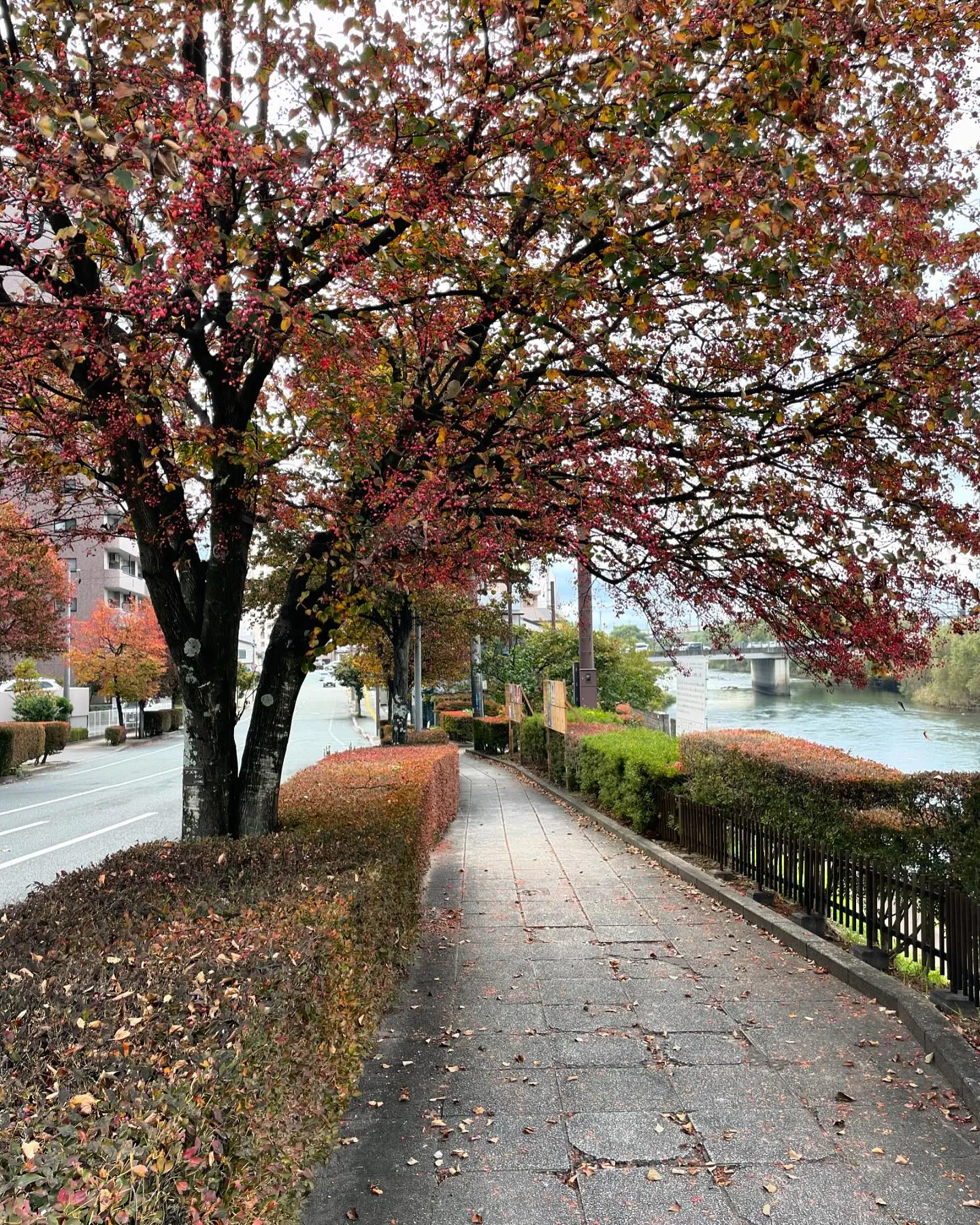 今日も午前中にお客様のご相談、不動産の相続について思うところ...