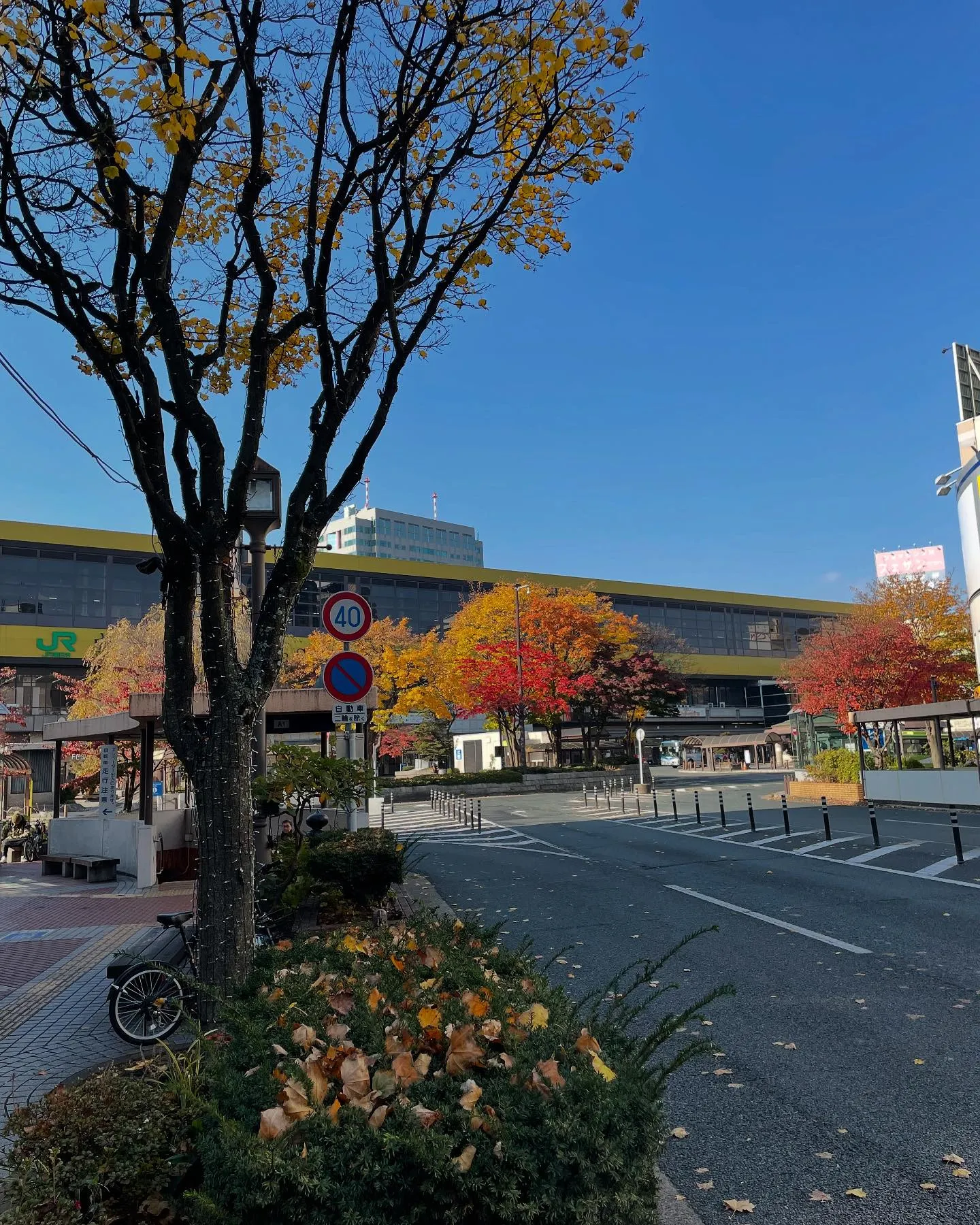 今日も朝イチで市役所に行って、昨日の続きで戸籍を取ってから、...