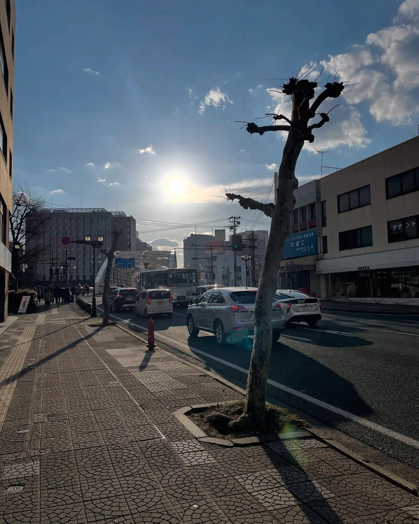 午前中、遺産分割協議書の郵送と成年後見人の市民県民税の申告を...