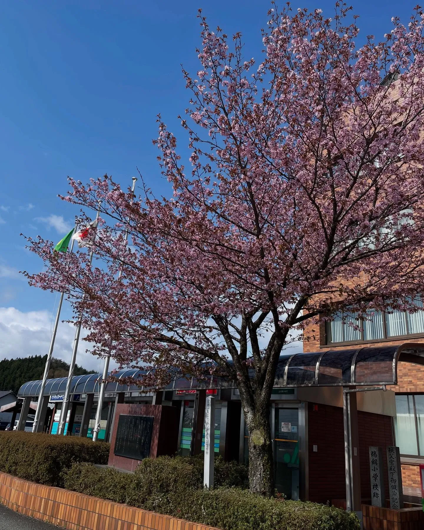 朝イチ、市役所に行ってNPO法人の書類を提出して、事務所に行...