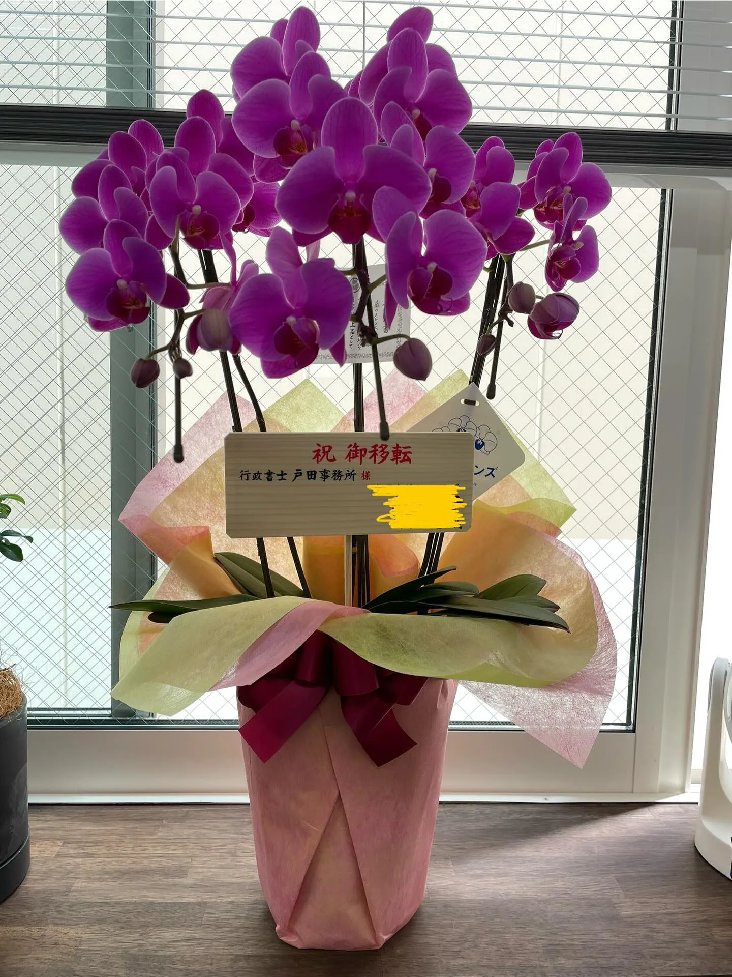 今日も朝から２つの銀行を回って残高証明を頂き、細かい書類の整...