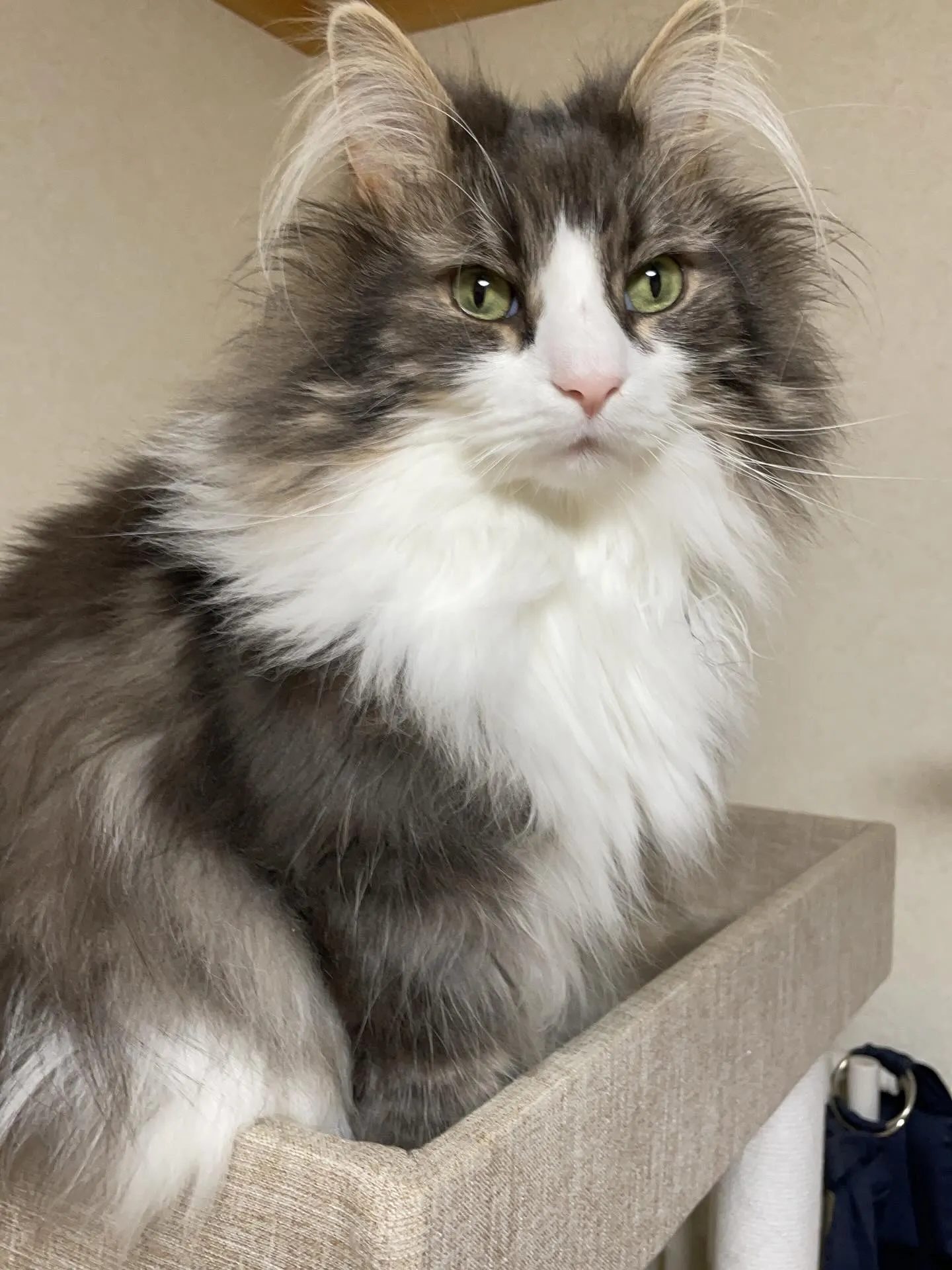 今日は朝からお客様と一緒に不動産屋さんを２件訪問、相続財産の...