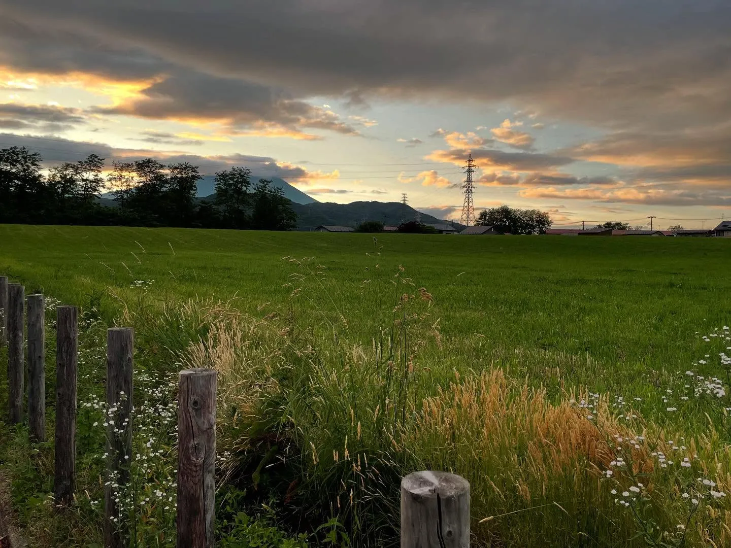 今日の午前中は、すっかり滞っていた相続手続きを端から順に進め...