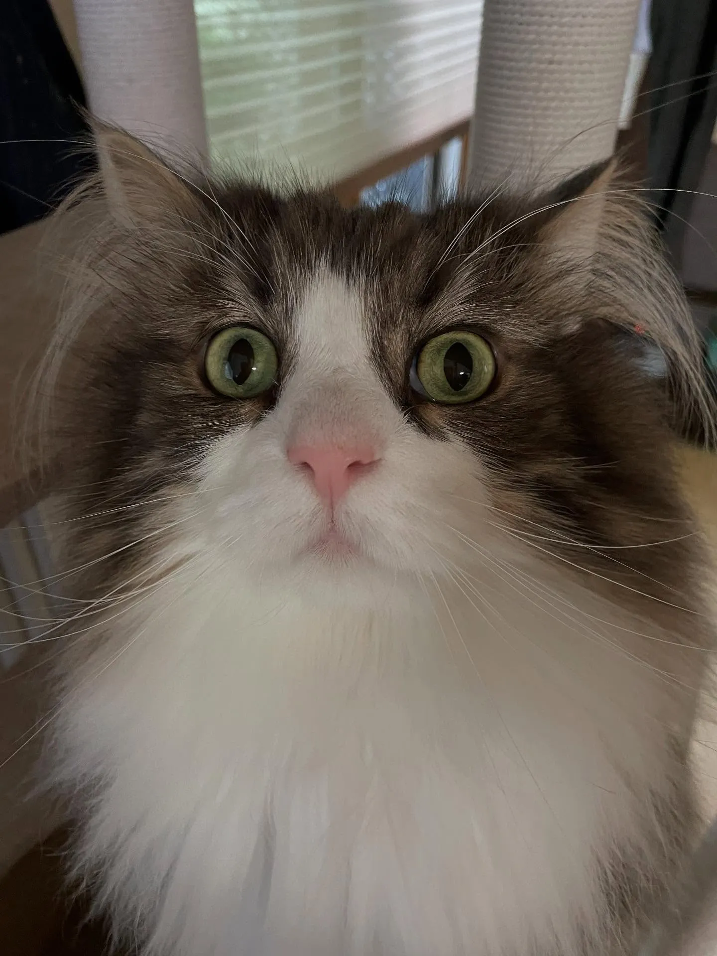 今日、朝に銀行巡りをしてから、某ラジオ局との打ち合わせ、午後...