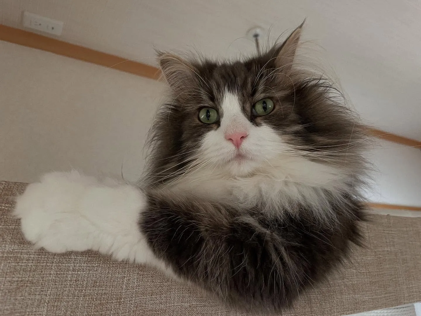 今日、書類の整理と今週のスケジュール確認から始め、OJTの合...