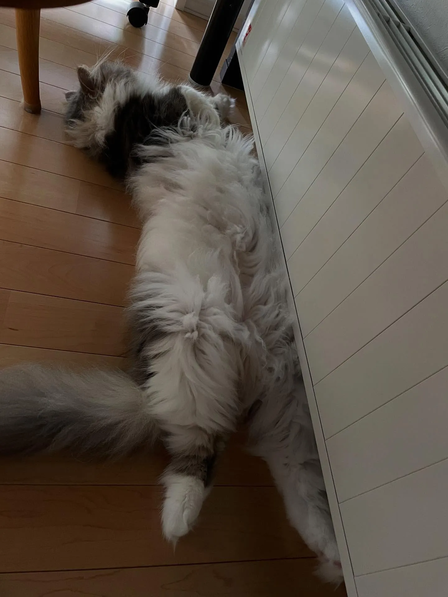 今日は割とゆったりで、午前中の少し遅い時間にお客様を訪問して...