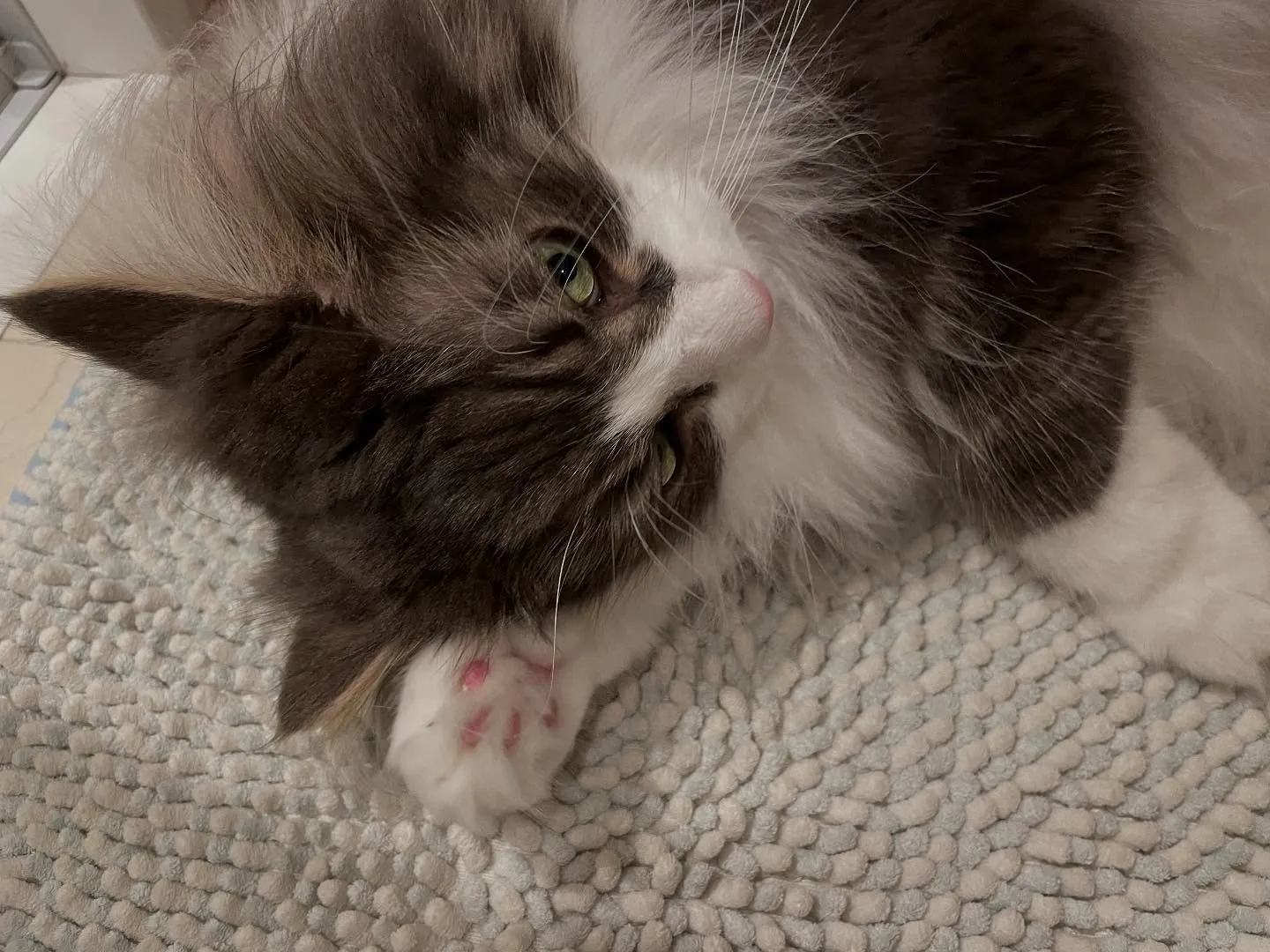 今日、任意後見人になっていた方の納骨でお寺に行き、ご親戚やご...