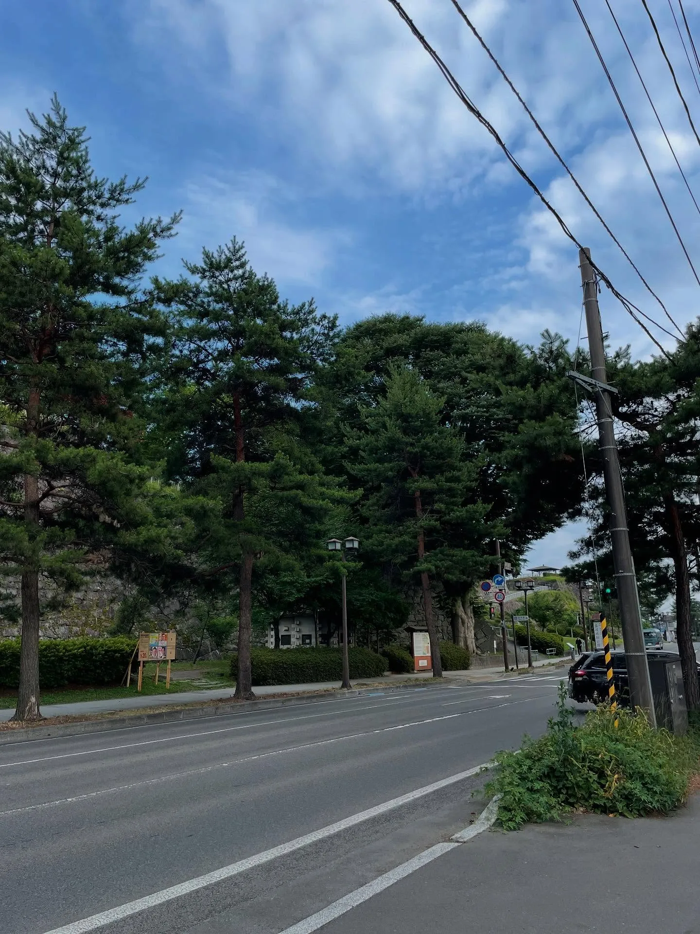 今日の午前中は、補助者の方と一緒に市役所の支所に行って、戸籍...