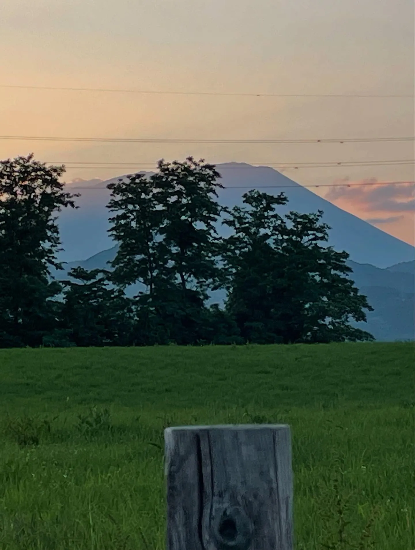 朝から県北と沿岸の葬儀場を8ヶ所と、ついでの町役場を１日かけ...