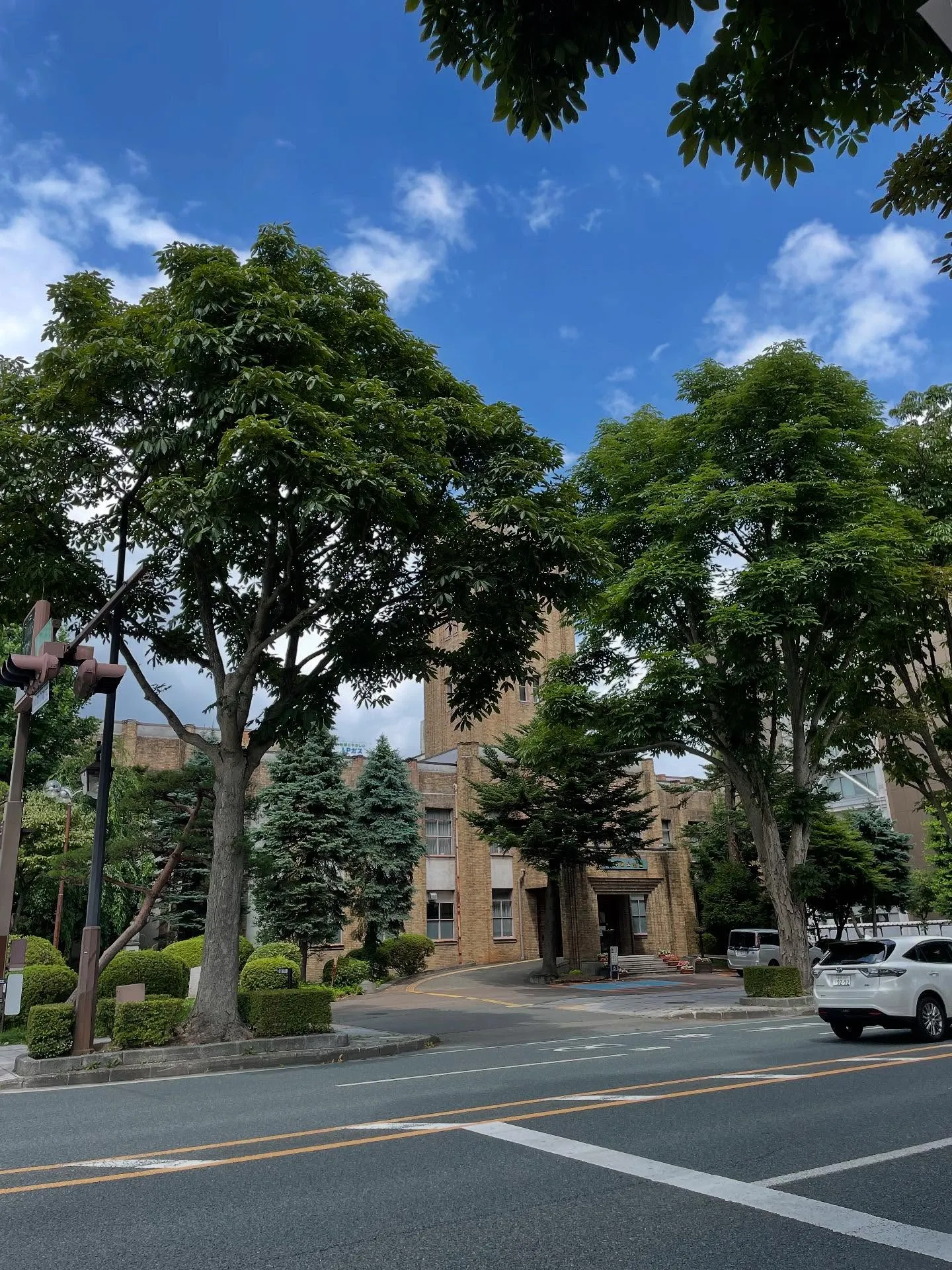 朝イチで遺産分割協議書などなどについてのご相談があって、お昼...