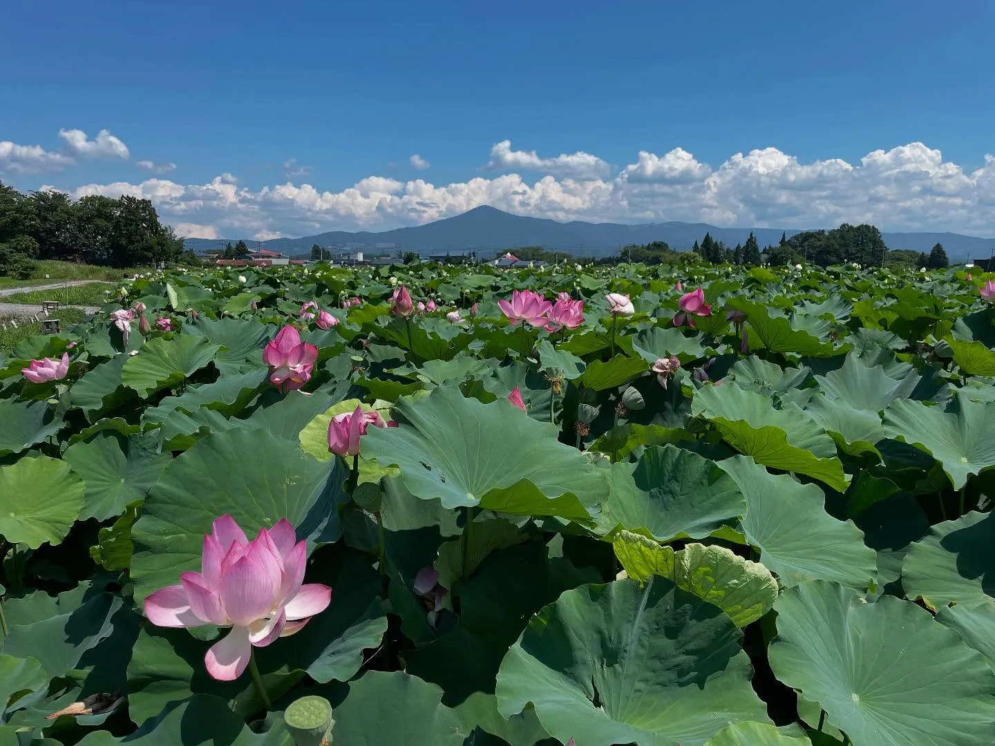 今日は相続手続きが終わったお客様を訪問して、書類をお渡しして...