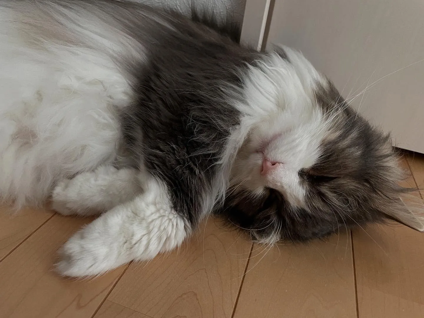 今日も朝イチで銀行に行って相続手続き、市役所で農地関係の届出...