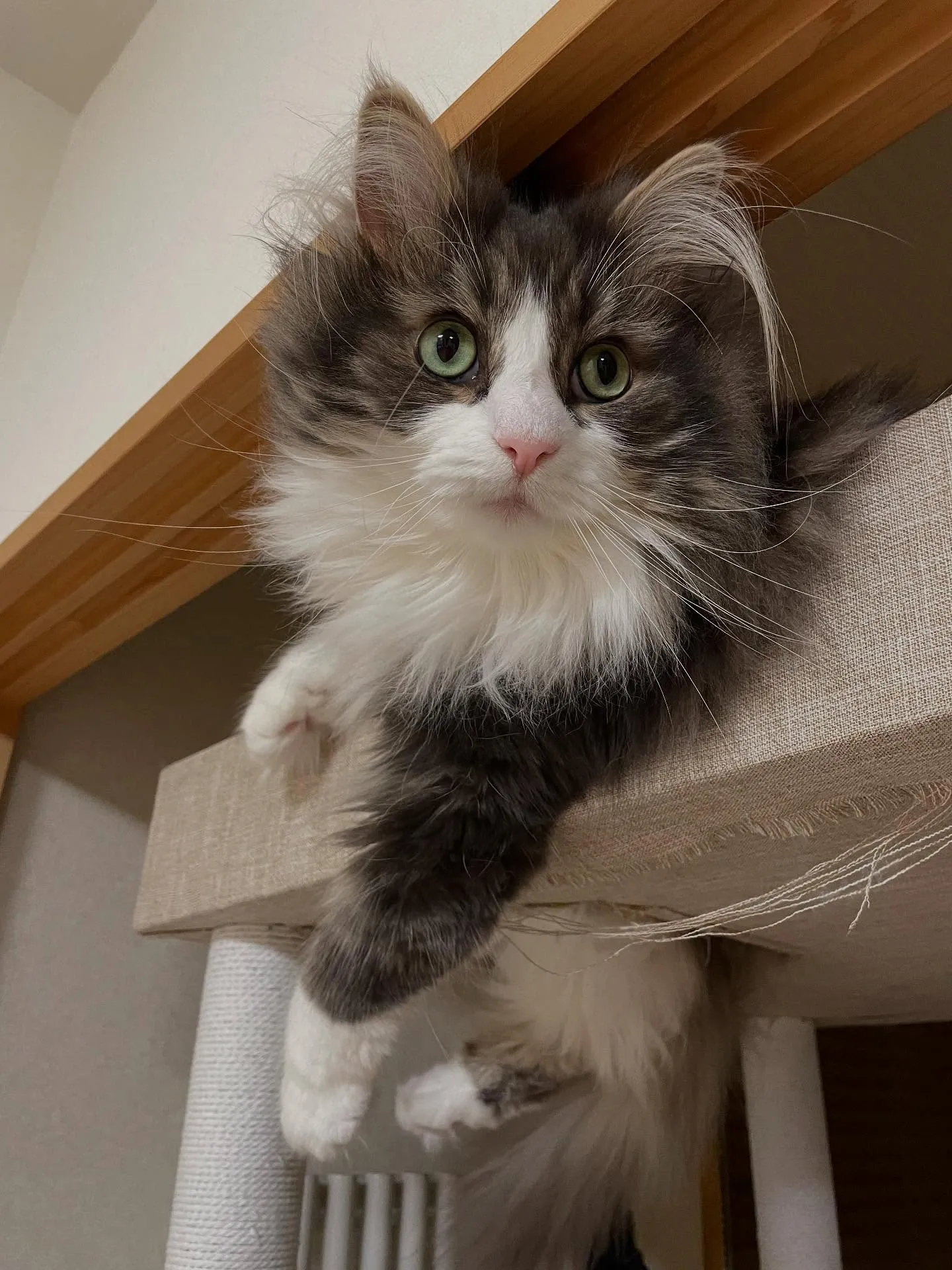 今日は溜まってた書類の整理をした後、補助者さんのご紹介で一件...