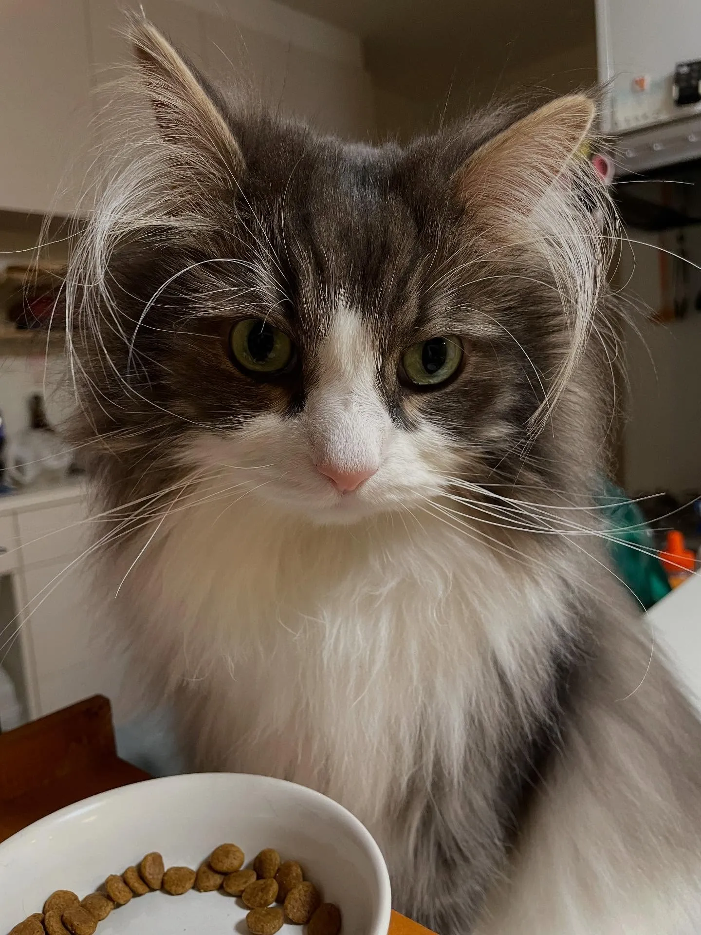 今日は大きな予定がないので、朝から細かい作業をコレでもかと…...