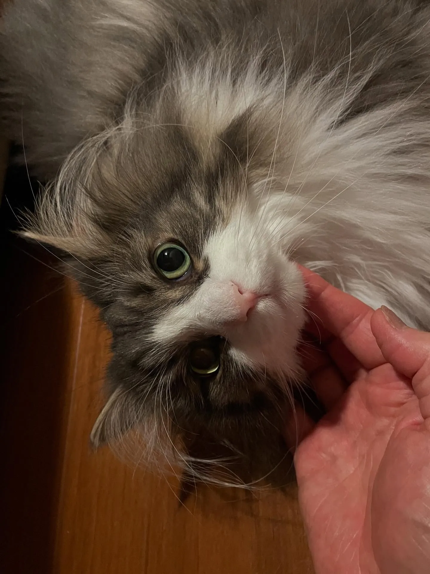 今日、朝イチで相続手続きのご相談、午後はお客様がいらっしゃっ...