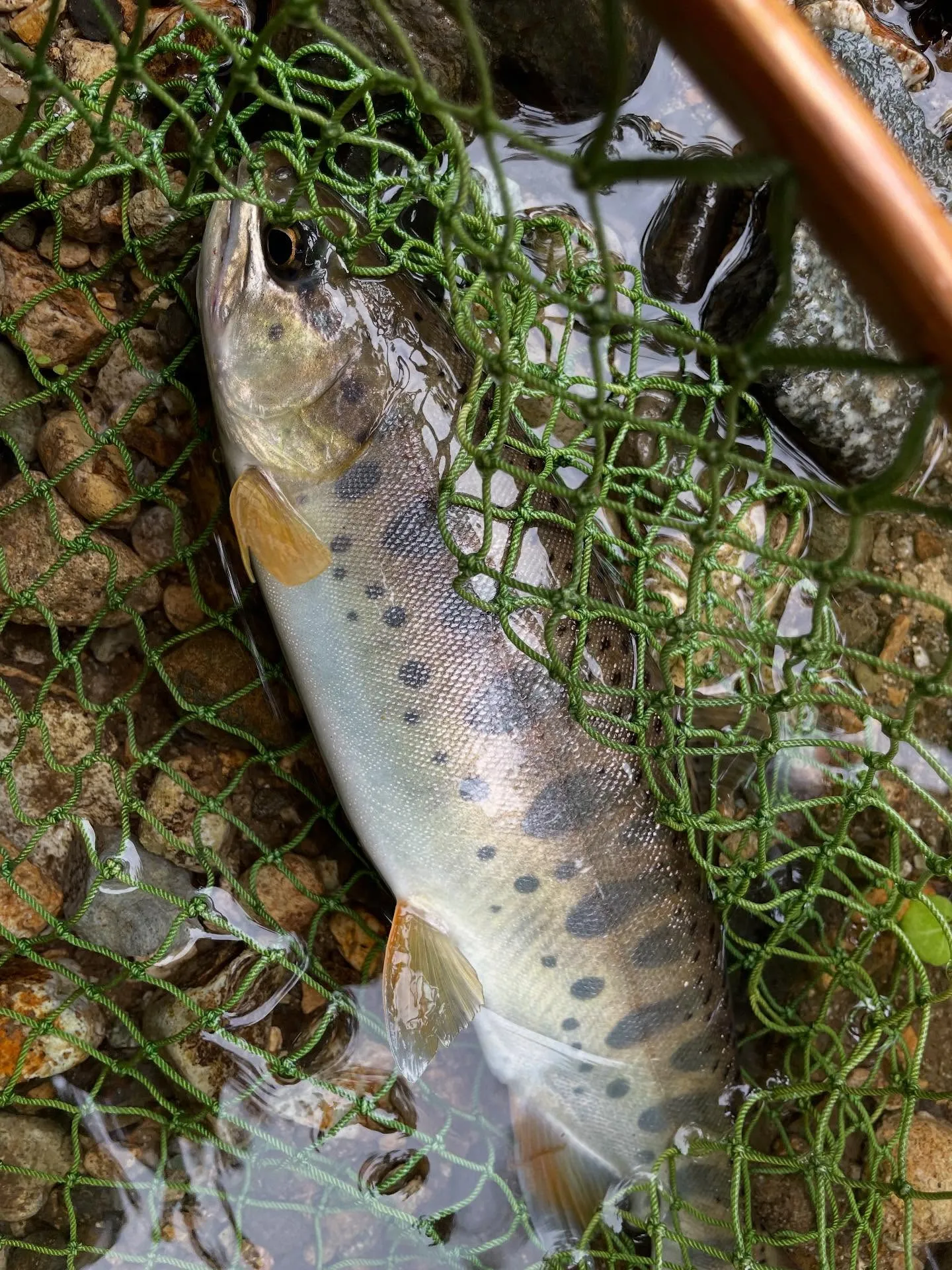 久しぶりの釣行。