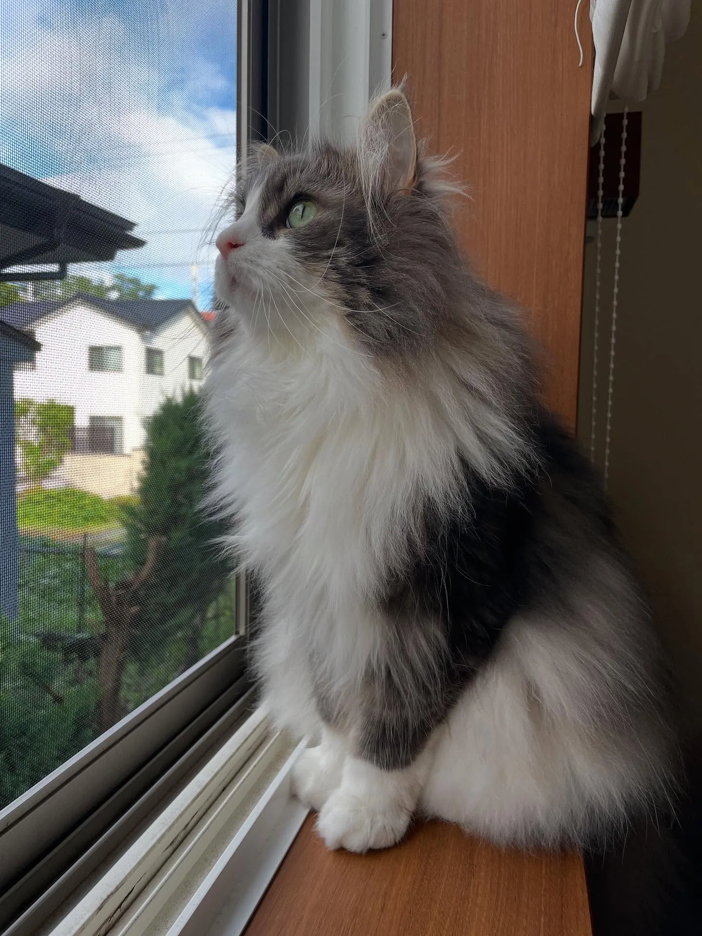 今日は割とスロースタート、郵便物の整理から始まり、補助者への...