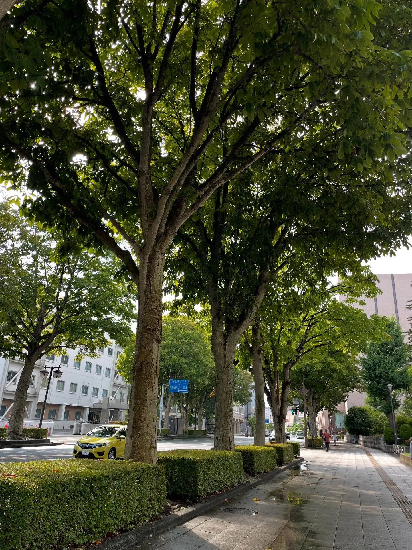 今日の午前中は、相続前にやっておいた方がいい事についてのご相...