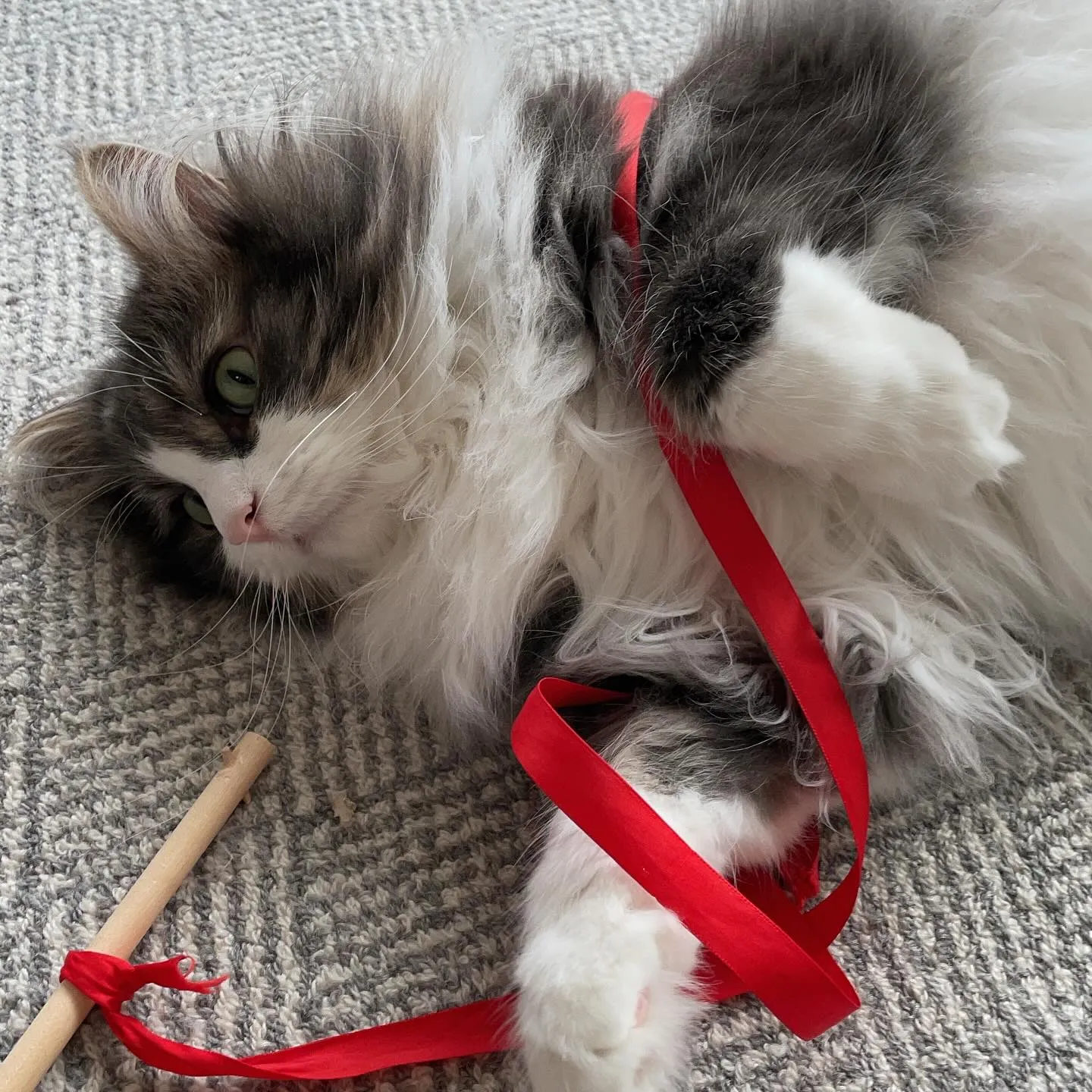 今日は年に一度の健康診断、午前中は病衣でウロウロ、午後からは...