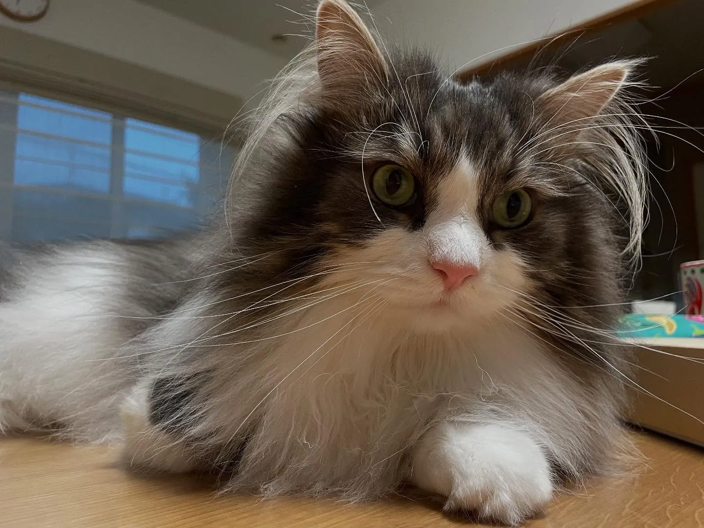 今日は朝イチでお客様と待ち合わせて書類の提出のサポート、それ...