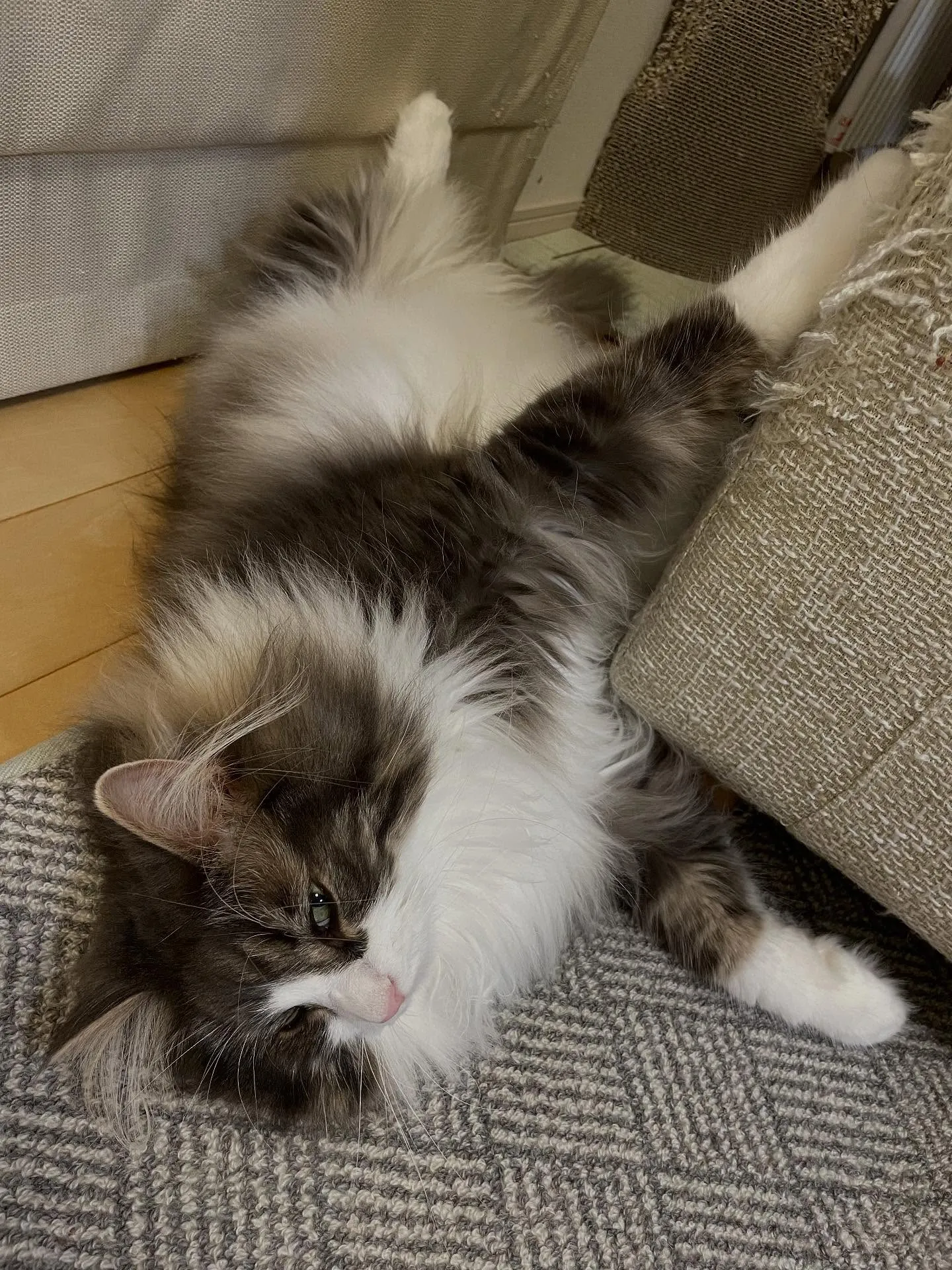 今日も朝イチでお客様宅を訪問、手続きが終わった書類をお届けし...