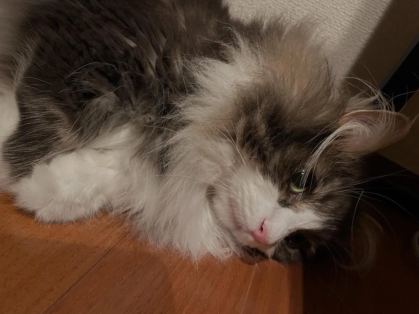 今日はまたマーケティングの読書からスタート、ちょっと書類を片...