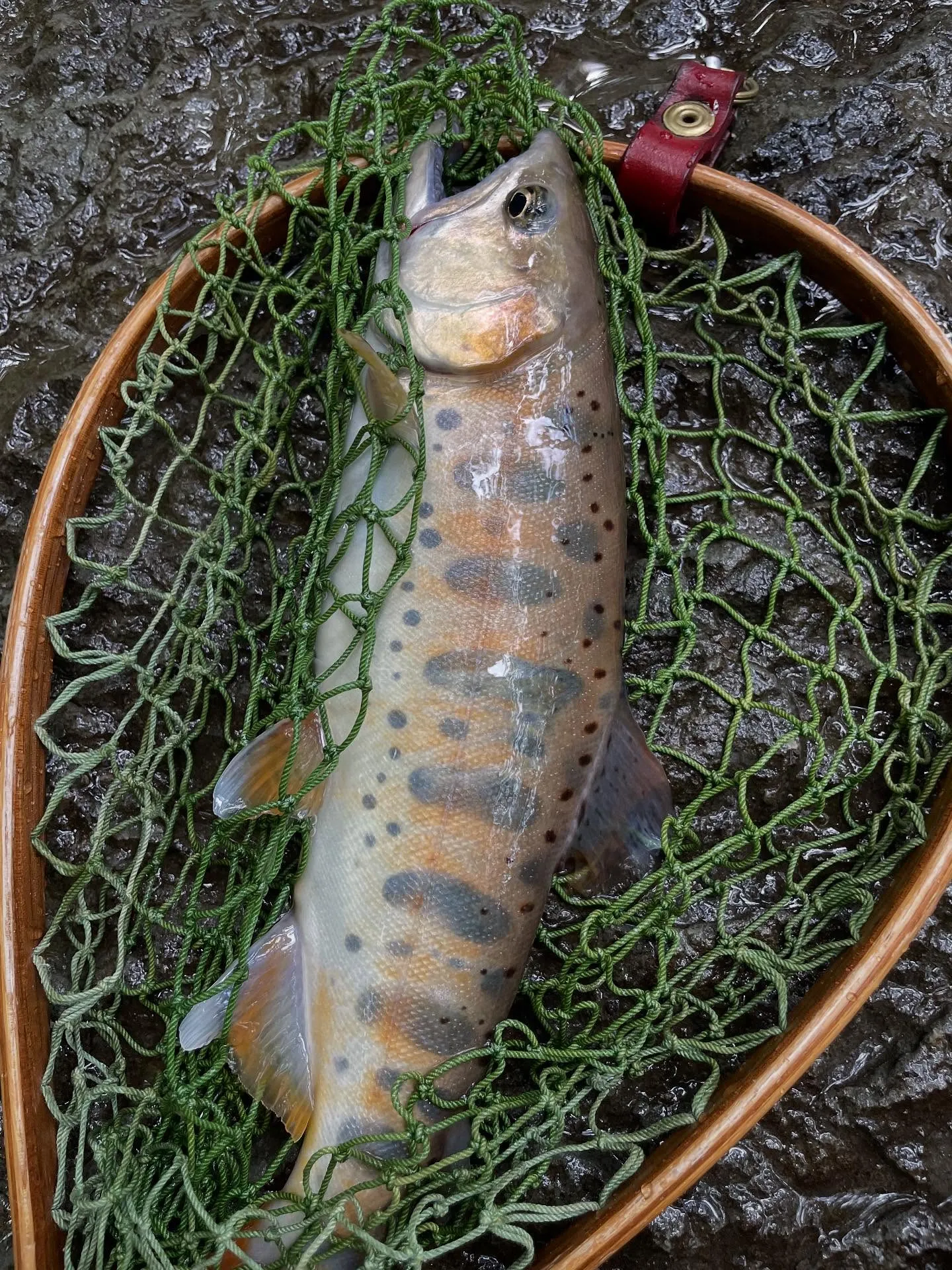 今日は久しぶりの釣り。