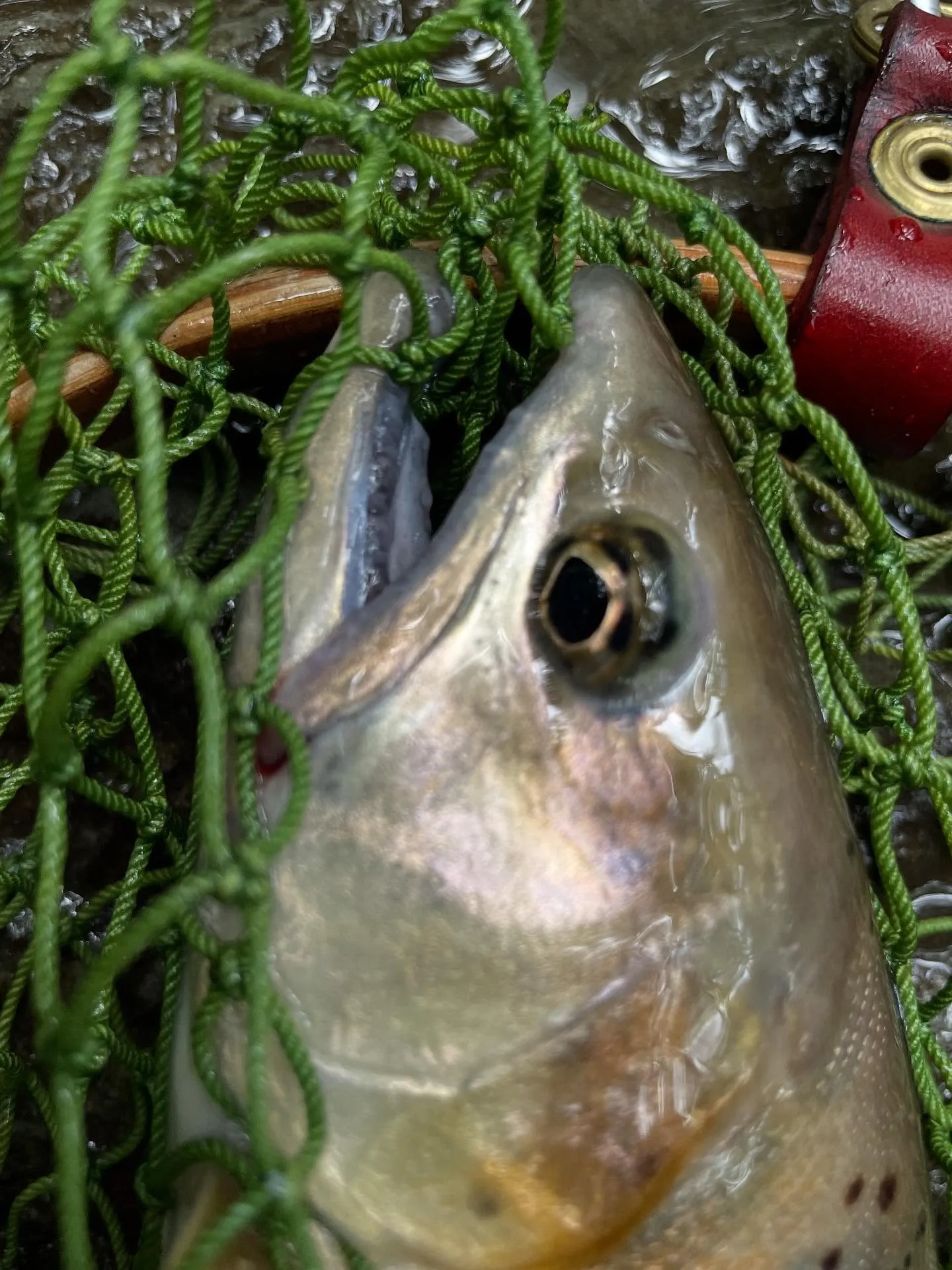 今日は久しぶりの釣り。