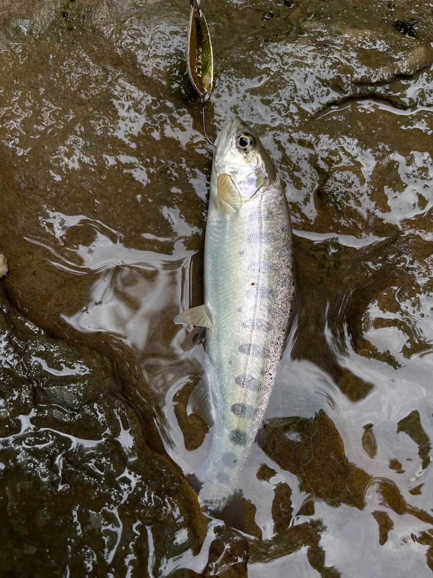 今日は久しぶりの釣り。