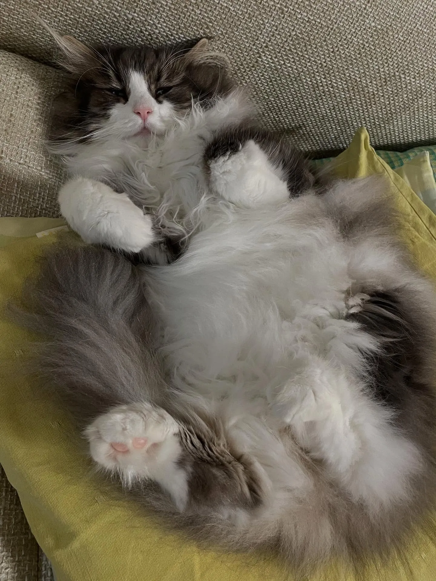 今日は朝イチで書類の整理と補助者さんへの指示出しをしてから、...