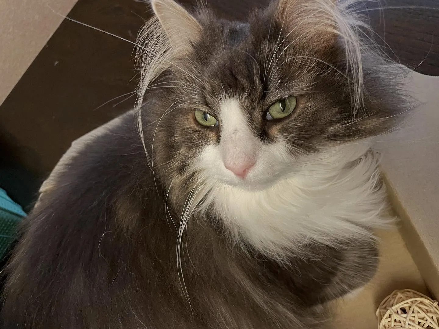 昨日の午前中は相続手続きが終わったお客様を訪問して、今日の午...