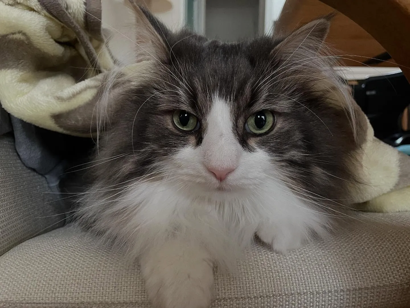 朝イチで何ヶ所か急いで連絡して、これまた大急ぎで銀行を3ヶ所...