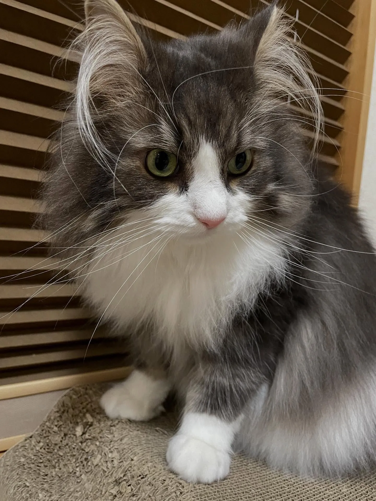 今日は朝イチで郵便局に書類を取りに行く所からスタートで、下期...