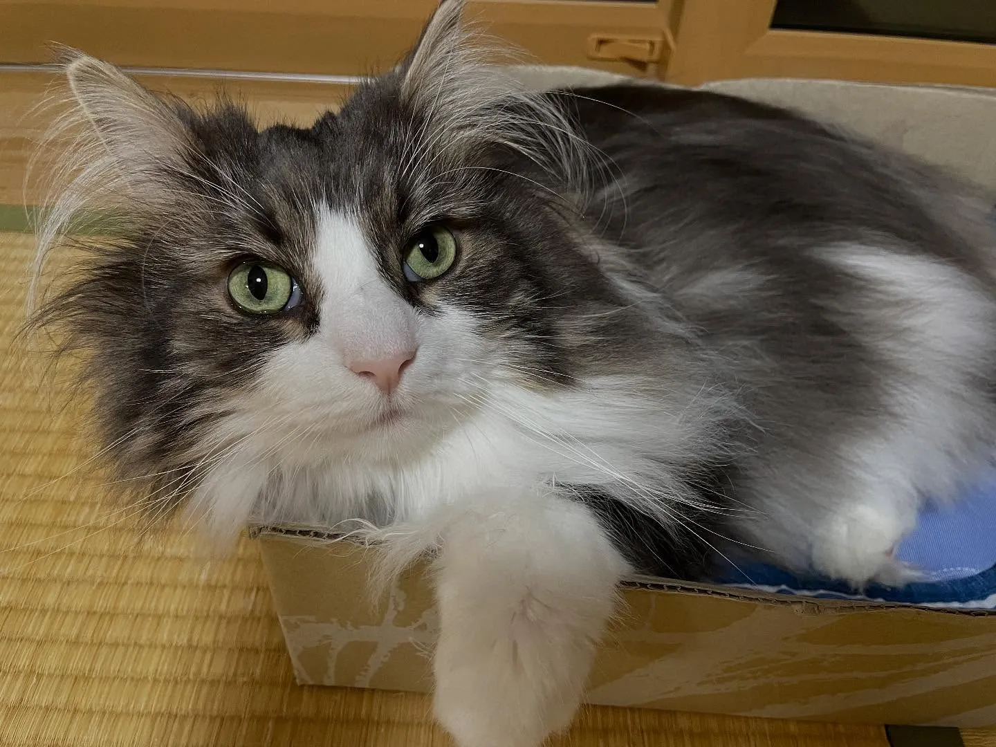 今日の早朝、急に相続のご予約が入ったところから１日が始まり、...