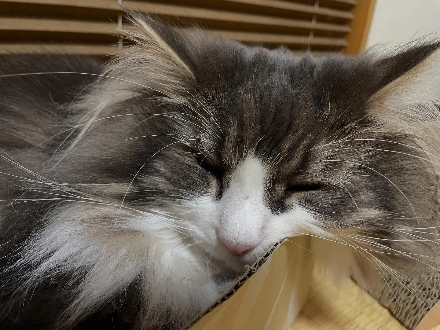 今日も朝イチでお客様宅を訪問、遺産分割の内容についてお話して...