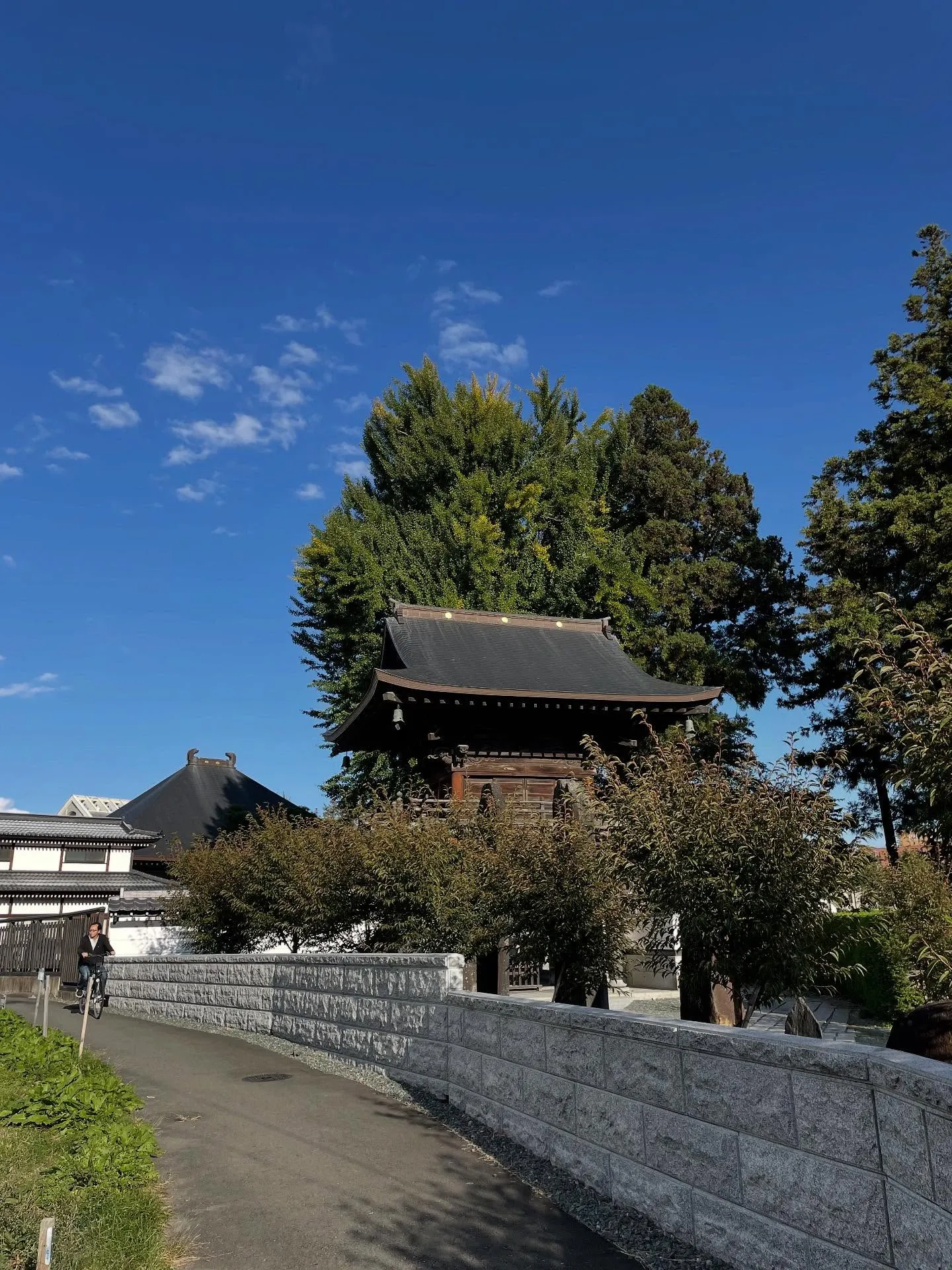 今日は兎に角人と会う日で、まず午前中はお世話になっている葬儀...