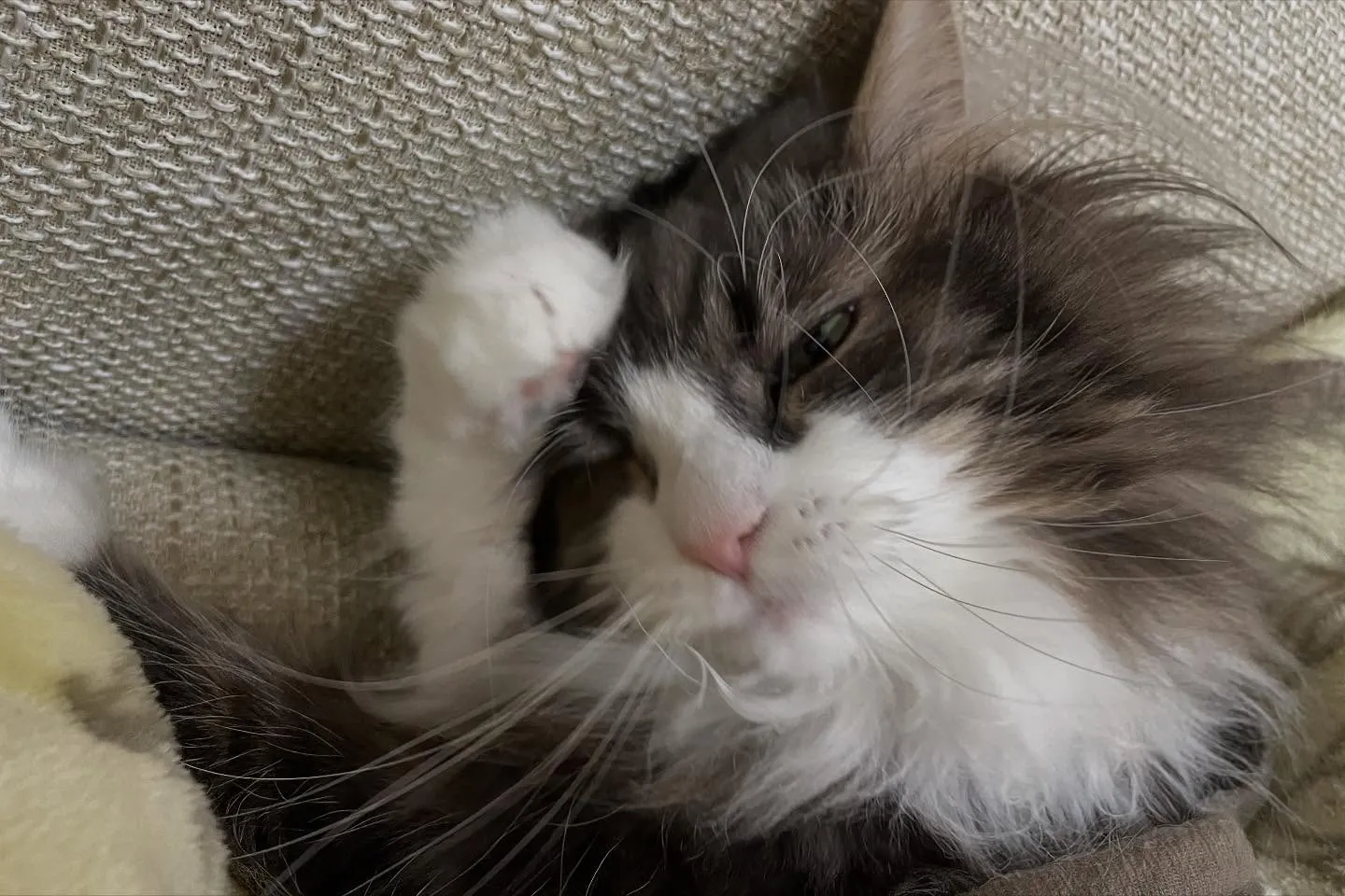 今日は朝に仕事の整理をしつつ、送られてきた書類の返信をして、...