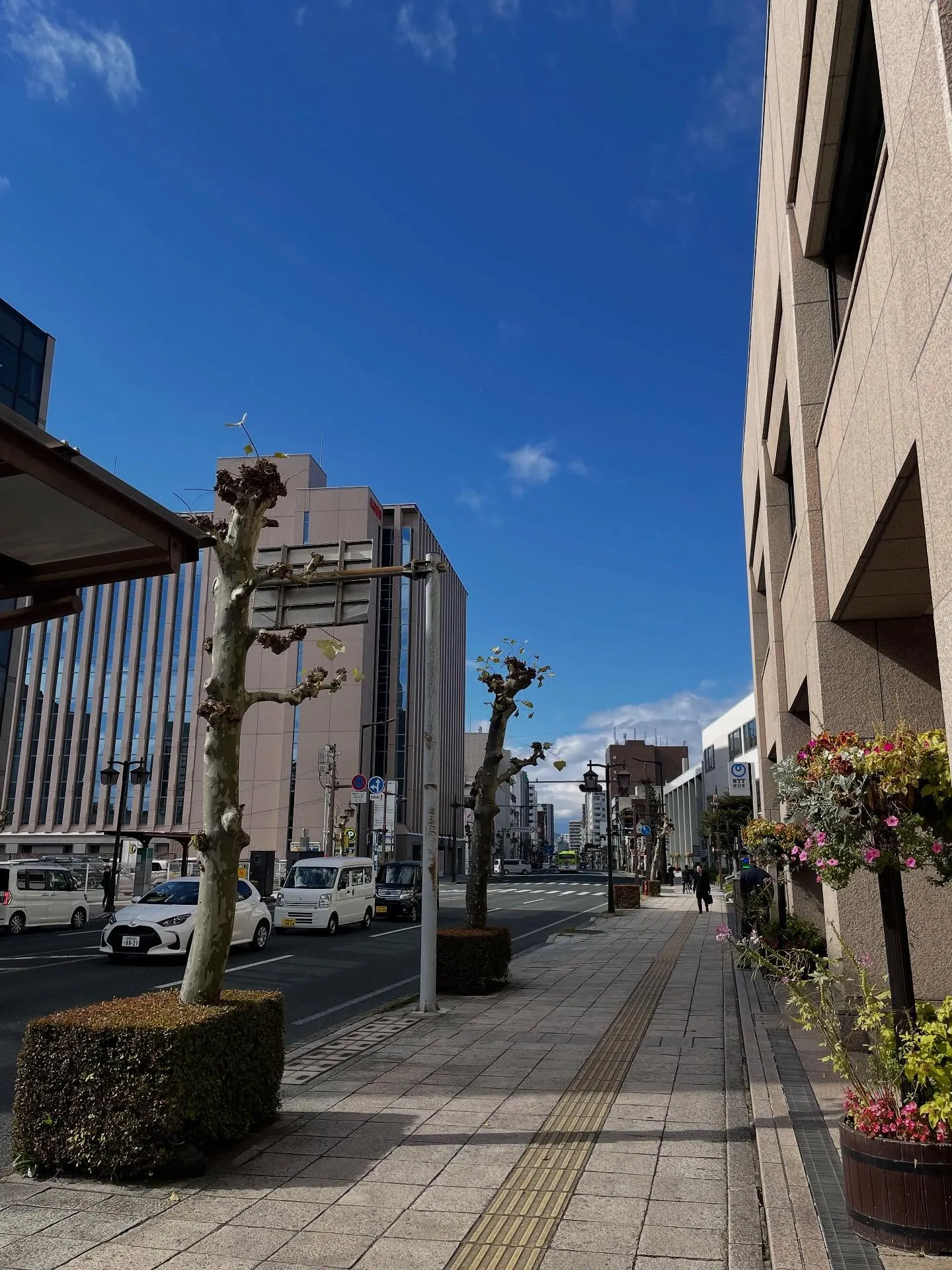 朝、届いている書類の整理をして、すぐに事務所のホームページ管...