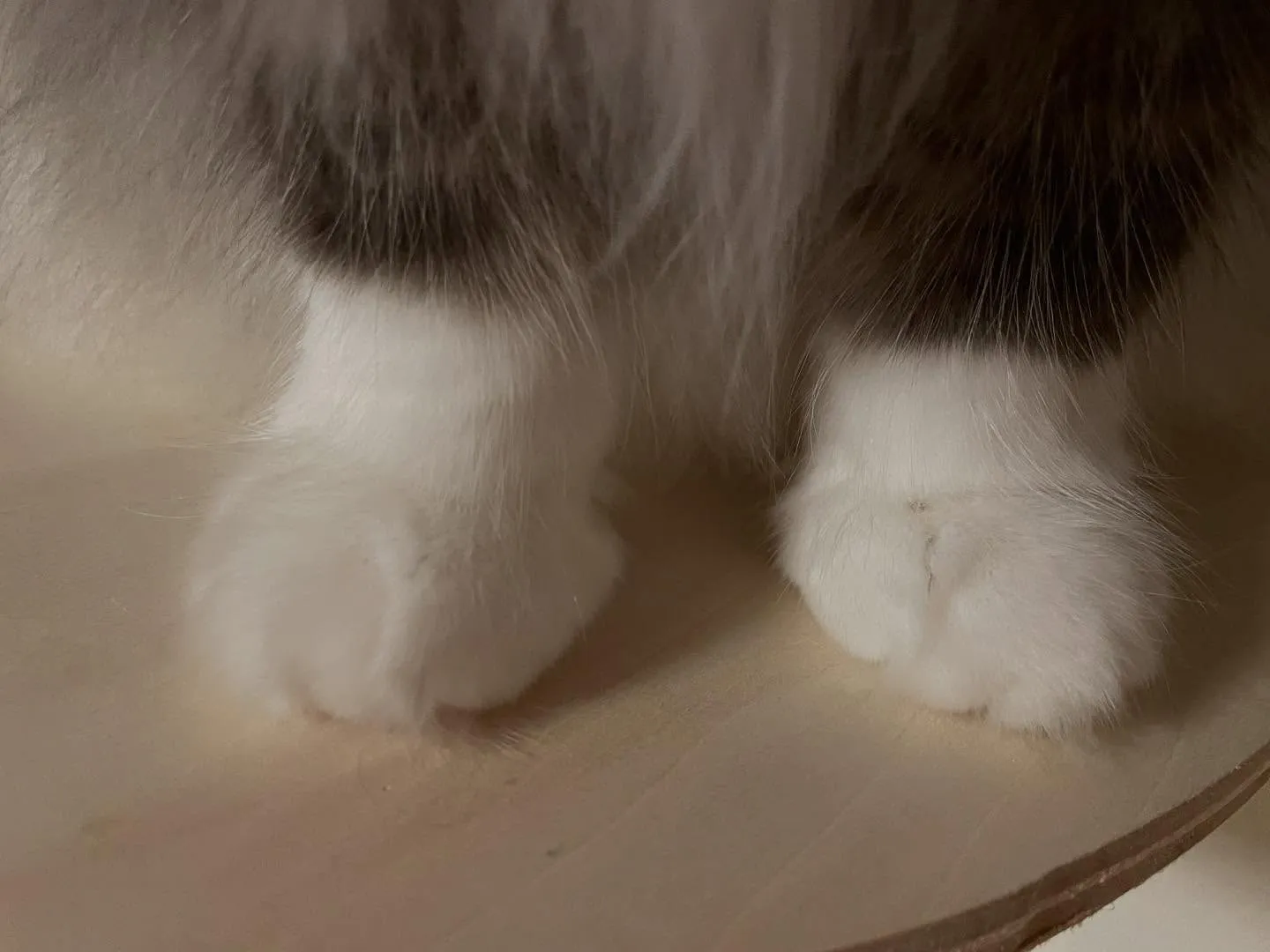 今日は大きな予定がないので、朝から溜まってた伝票を片付けて、...