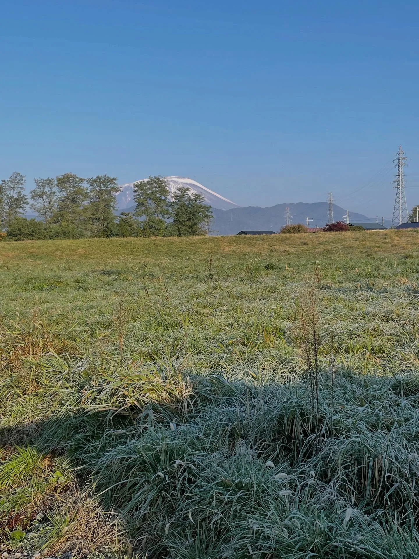 朝イチで郵便局に行って職務上請求書を送り、銀行の用事を済ませ...