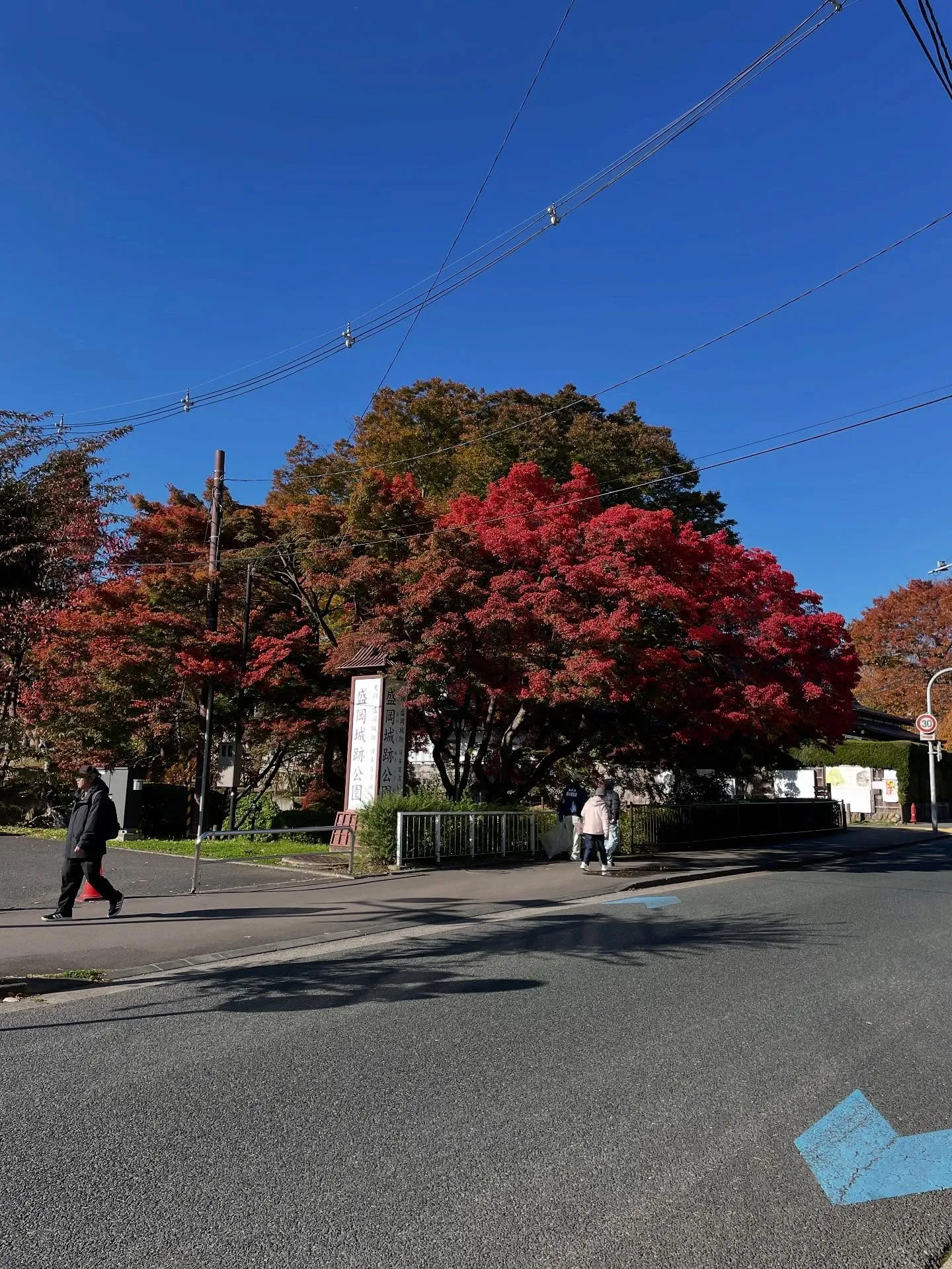 今日も朝イチで銀行を2件廻って残高証明書を取って、急いで事務...