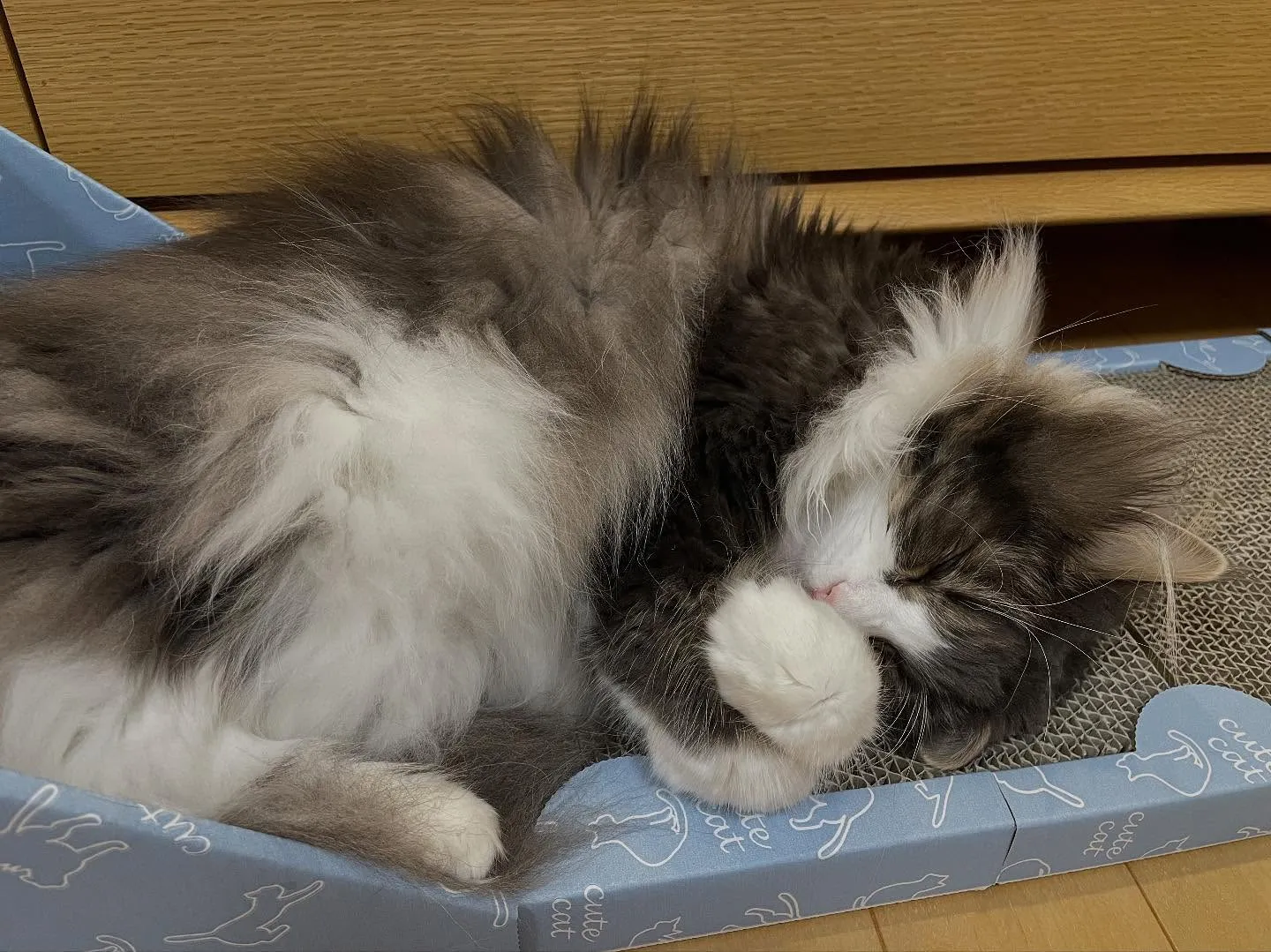 朝、溜め込んだセミナーへの参加申し込みや各所への連絡などを大...