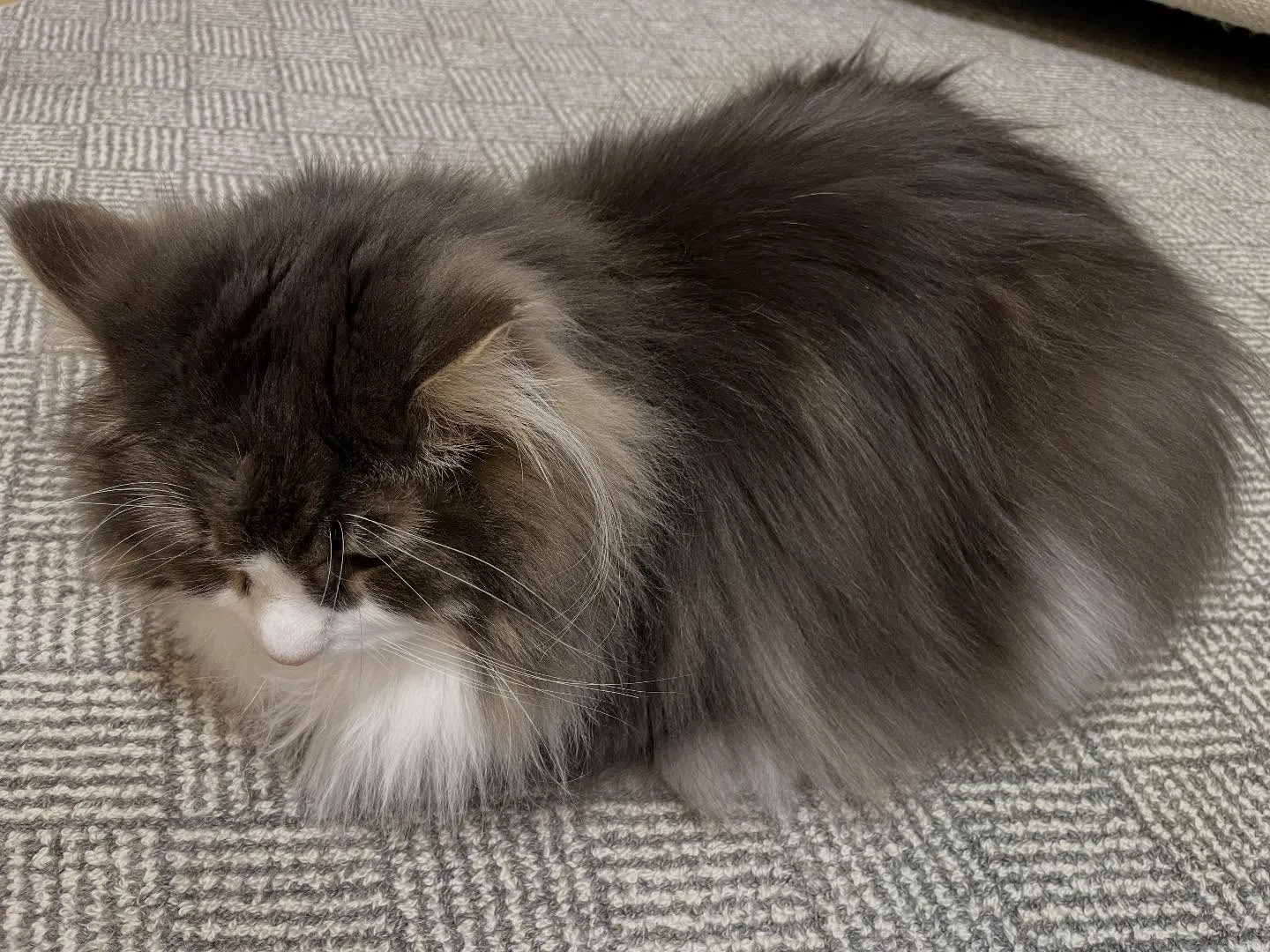 今日は朝から書類整理と連絡、相続手続きが終わったお客様の請求...