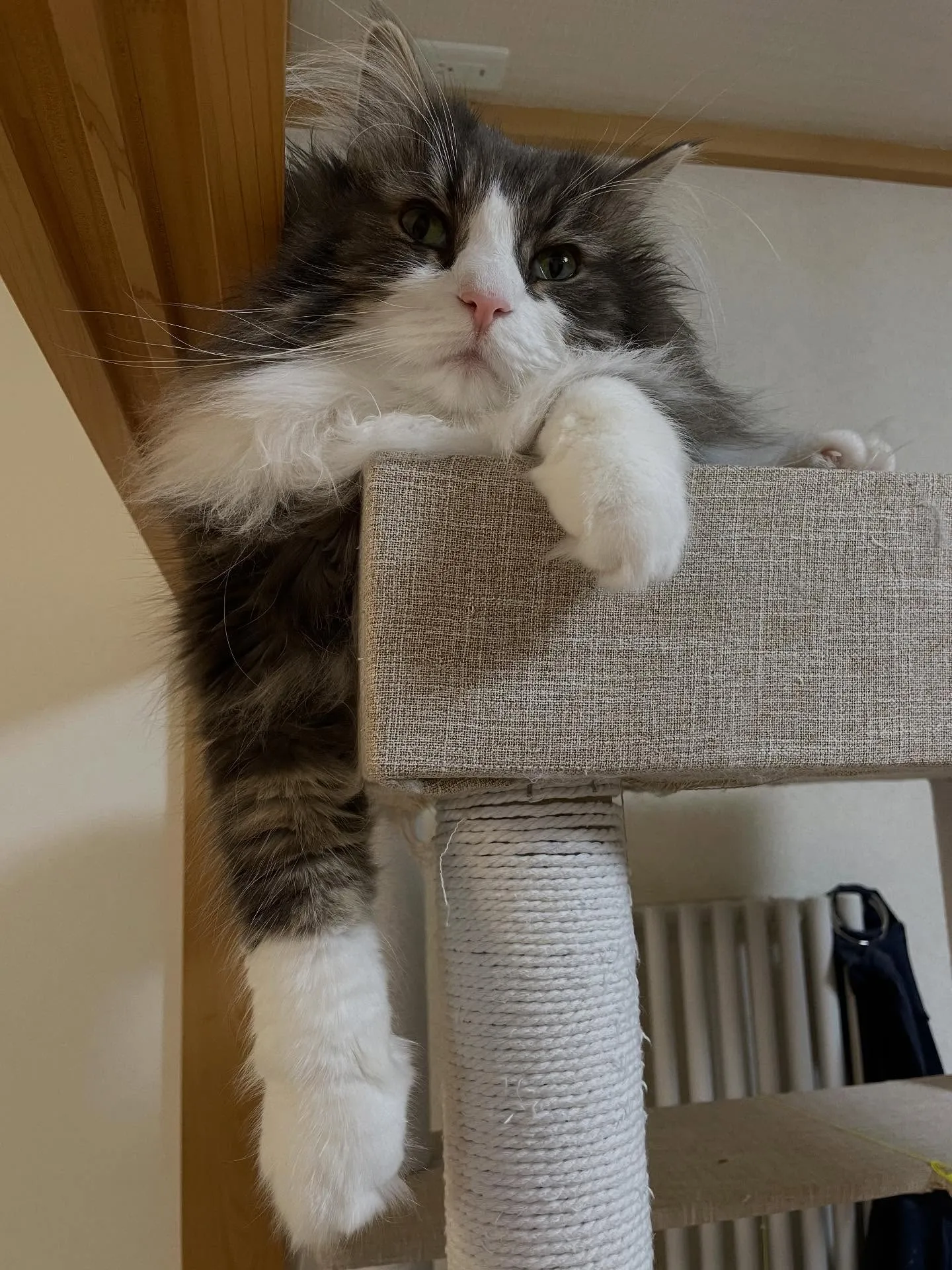 今日も朝イチで銀行に行って、取引明細書をお願いして、市役所で...