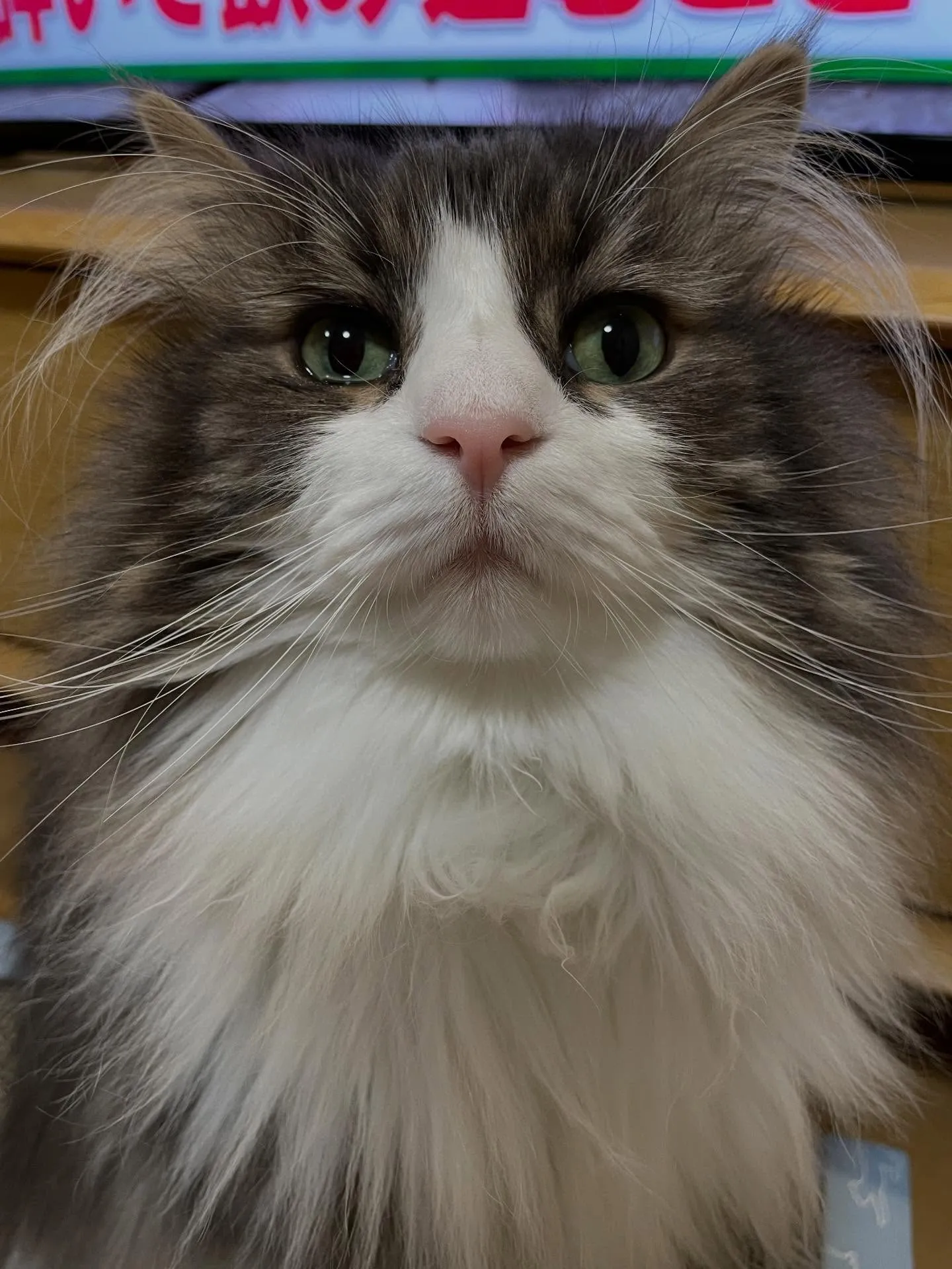 今日も朝イチでお客様宅を訪問、税理士さんと一緒に相続税の件で...