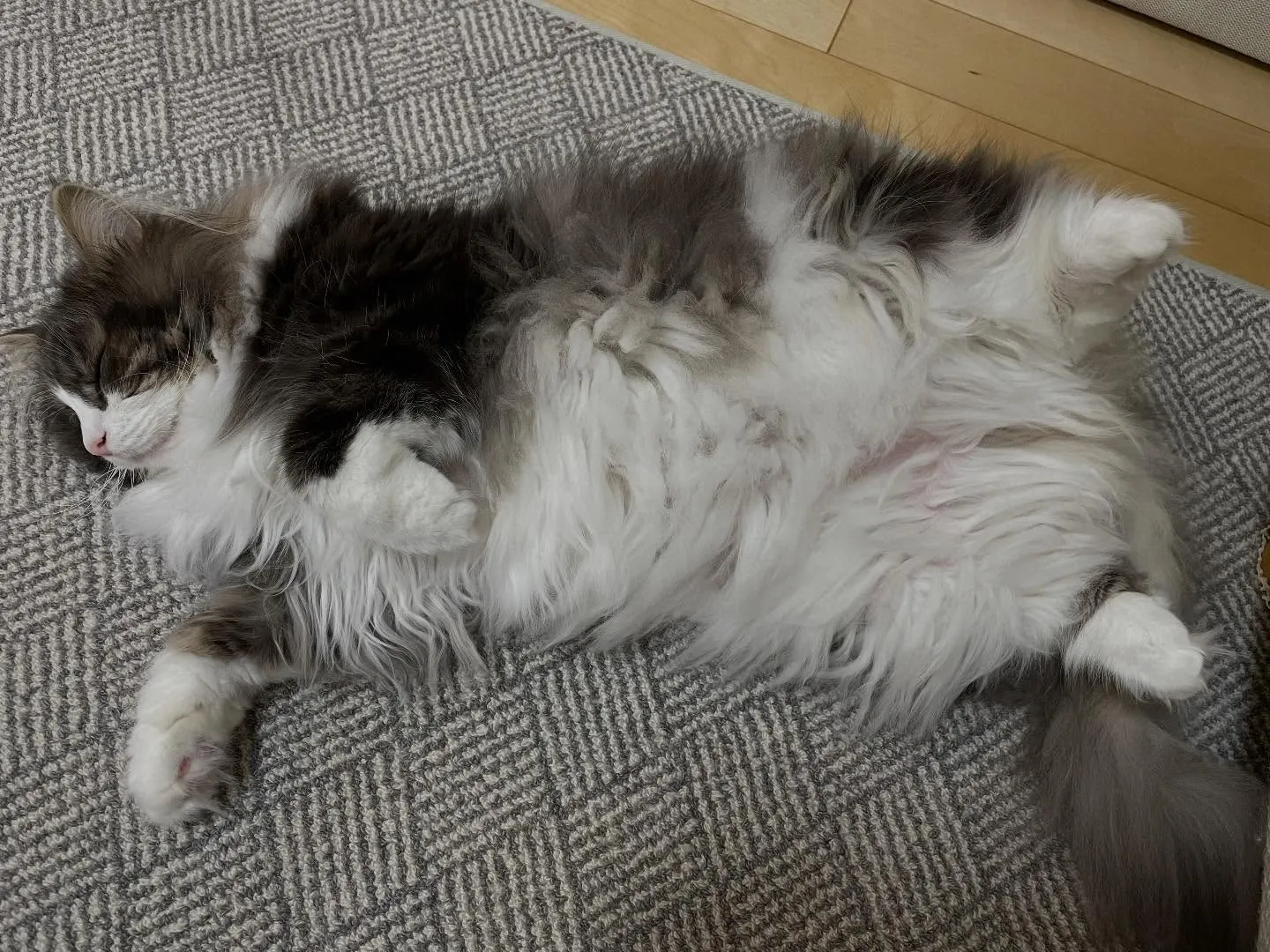 今日は少し遅い時間から銀行に行って、1件の相続手続きを終わら...