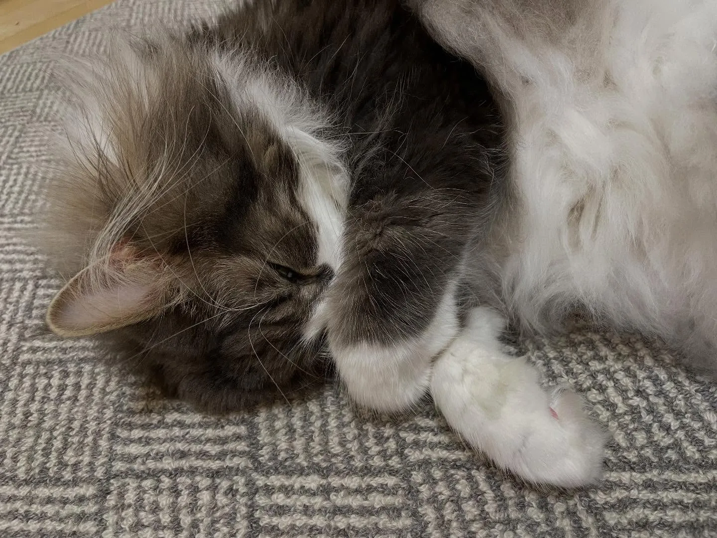 今日、朝イチで郵便に行って、3件の相続手続きをやってから事務...