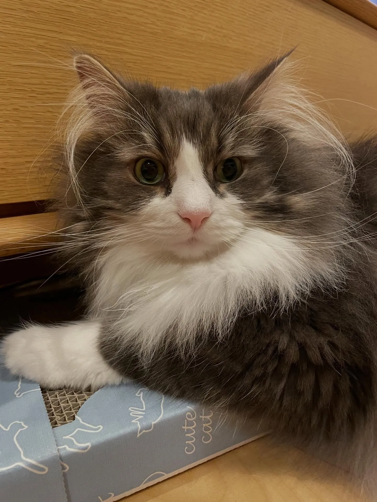 朝イチ、各所への連絡から始まり、書類の整理の後、事務所にいら...