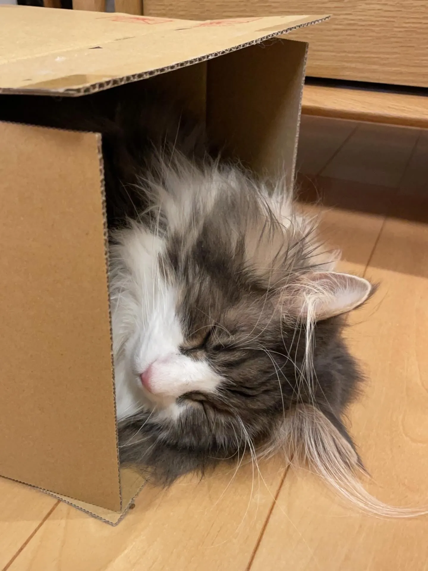 今日は土曜日だけど、急遽お客様からのご依頼で相続手続きについ...