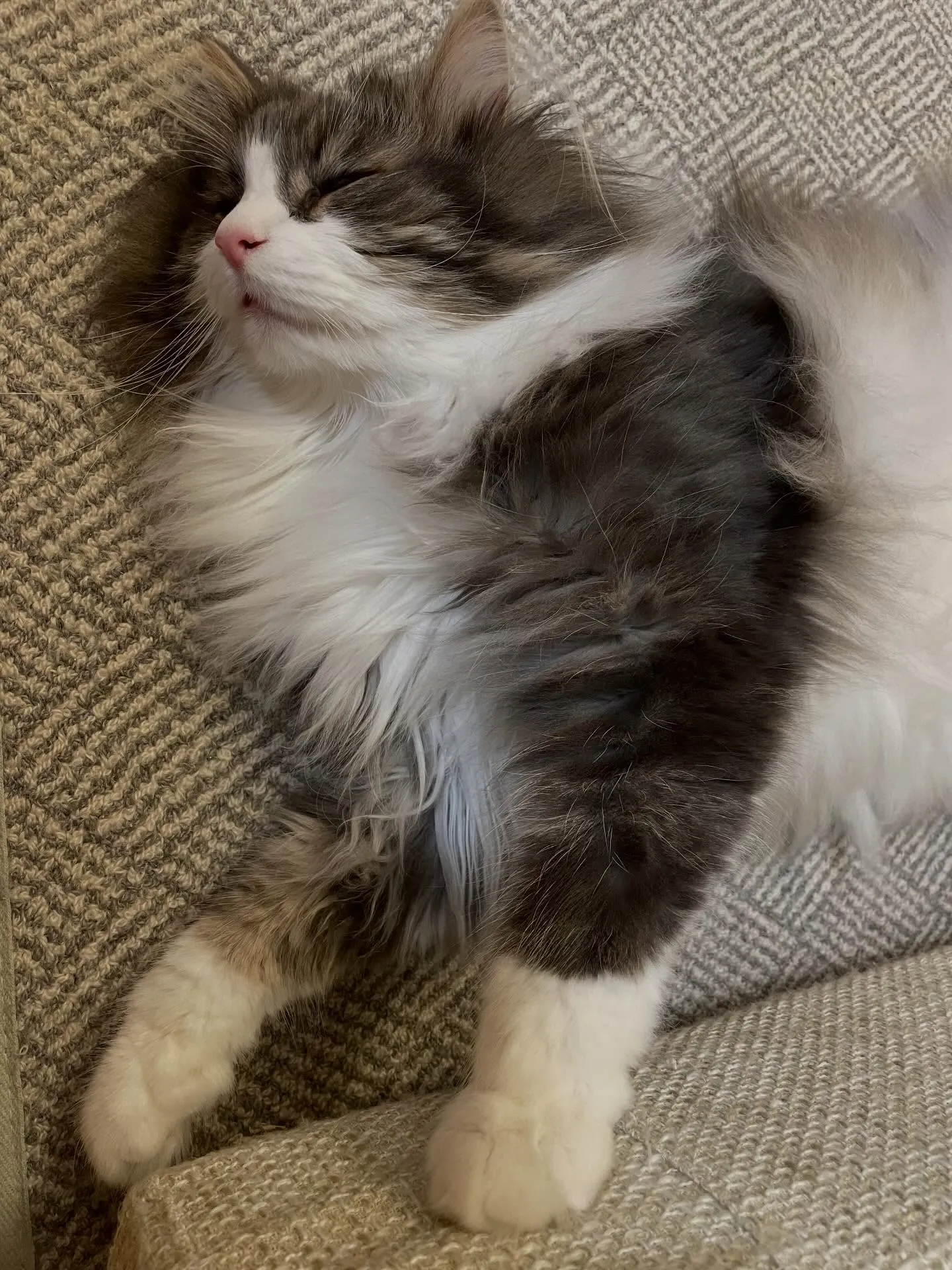 中1日で仕事始めの今日、まずは朝イチで銀行に行って相続手続き...